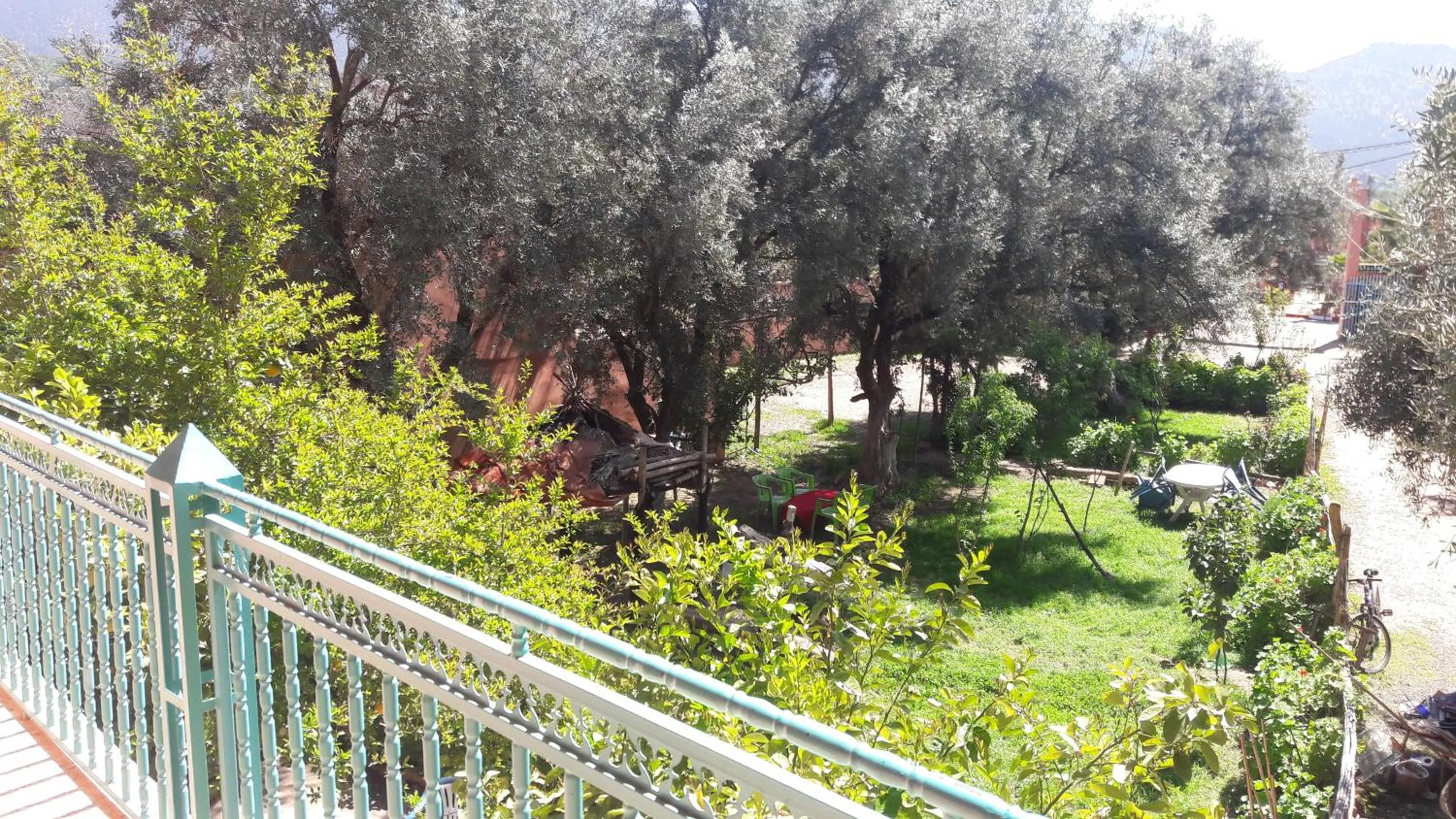 Garden view in Hotel France Ouzoud