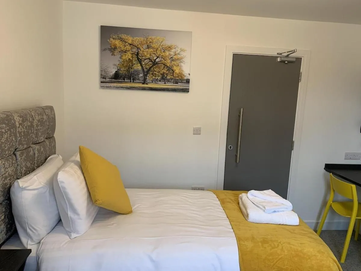 Other, Bed in Paddington by Pureserviced