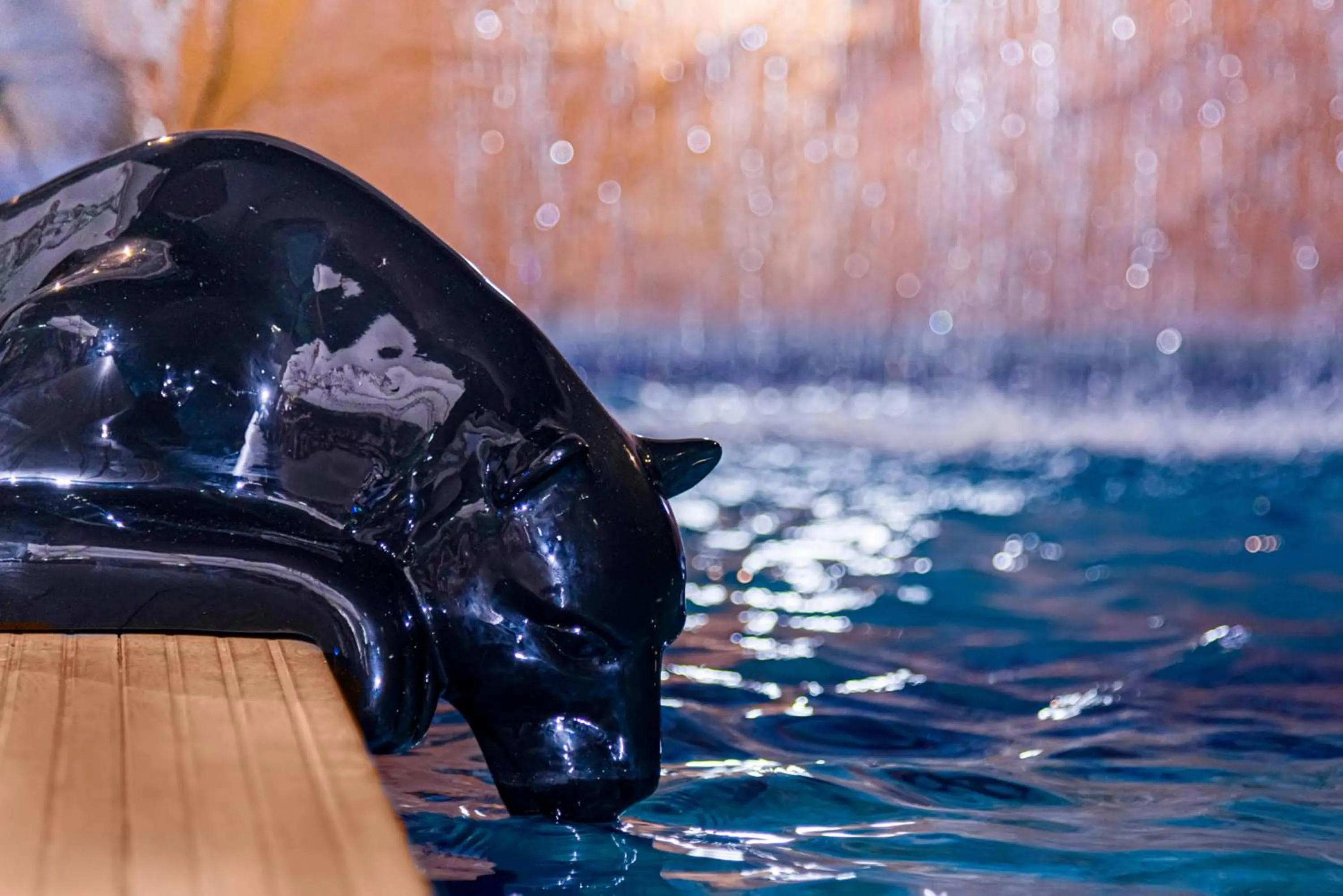 Swimming pool in Rede Andrade Amazônia