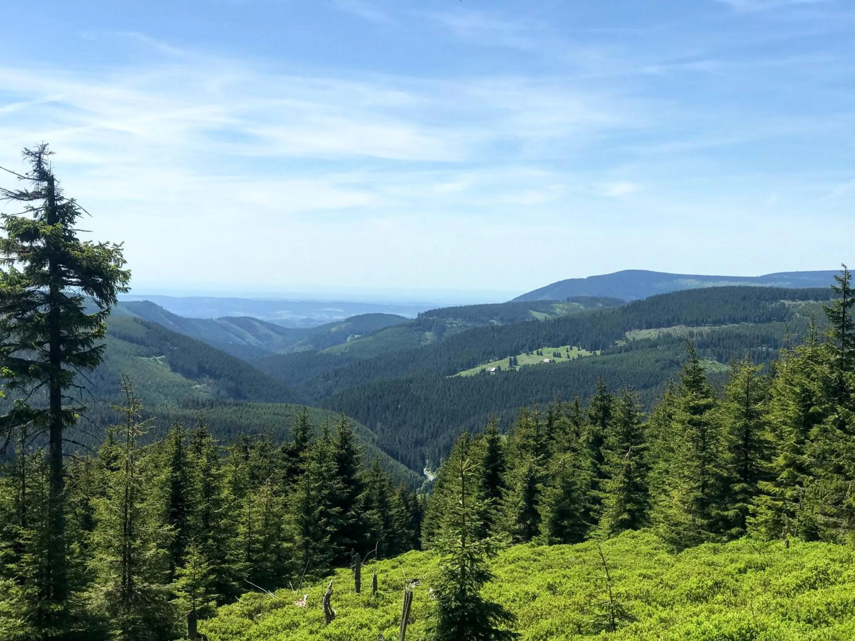 Natural landscape in Hotel Hvezda