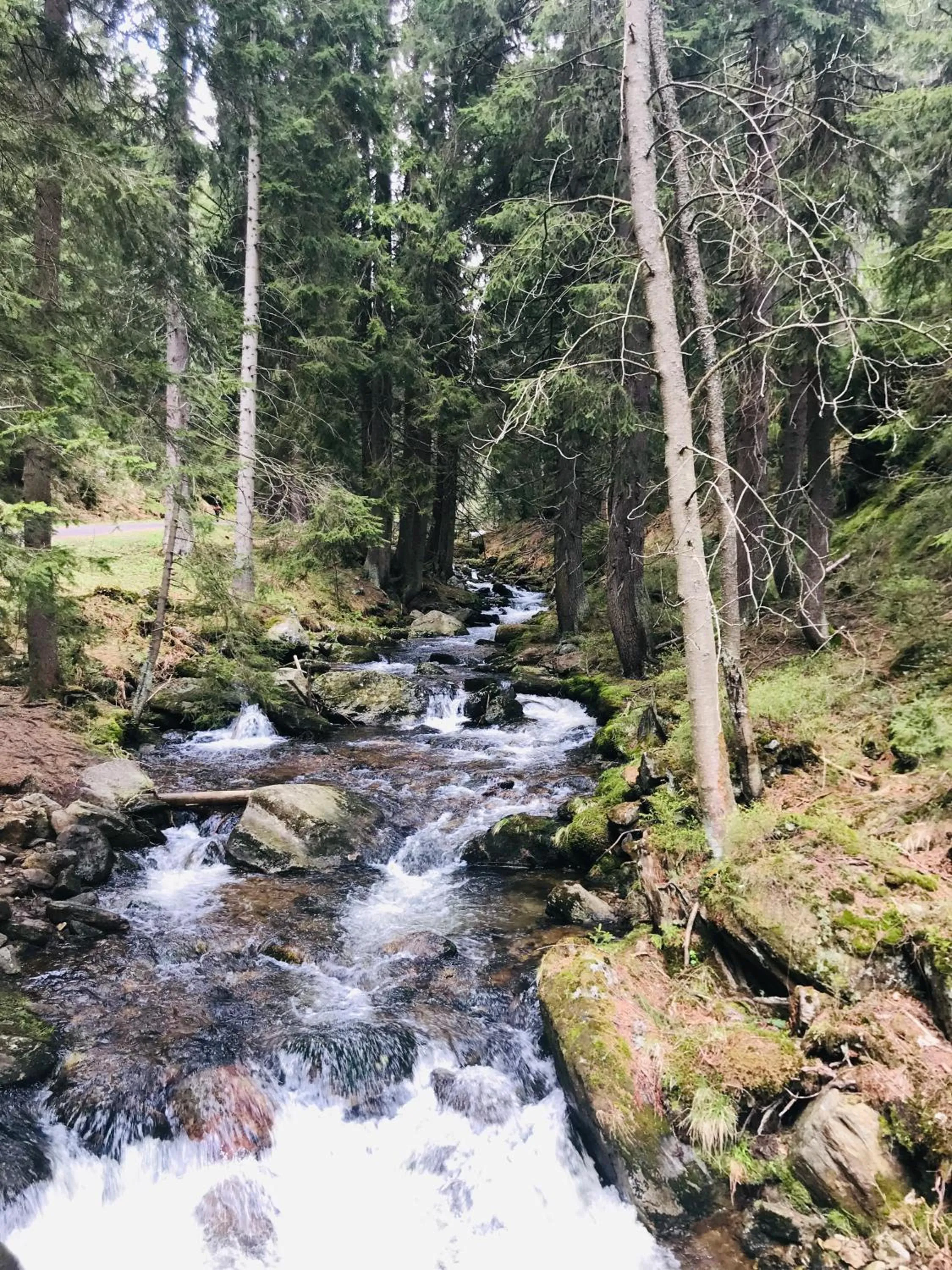 Natural landscape in Hotel Hvezda