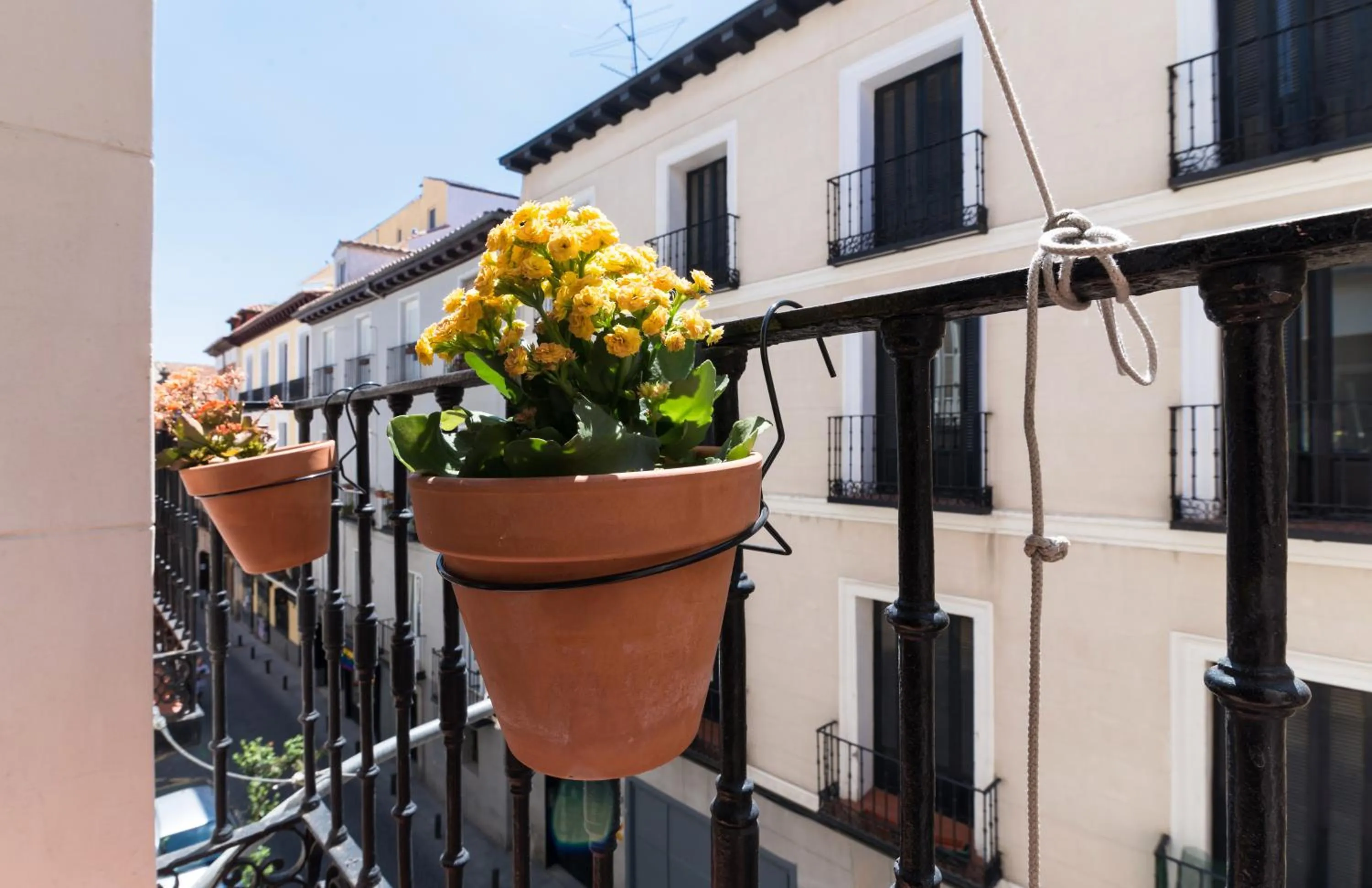 City view in Cálamo Guesthouse