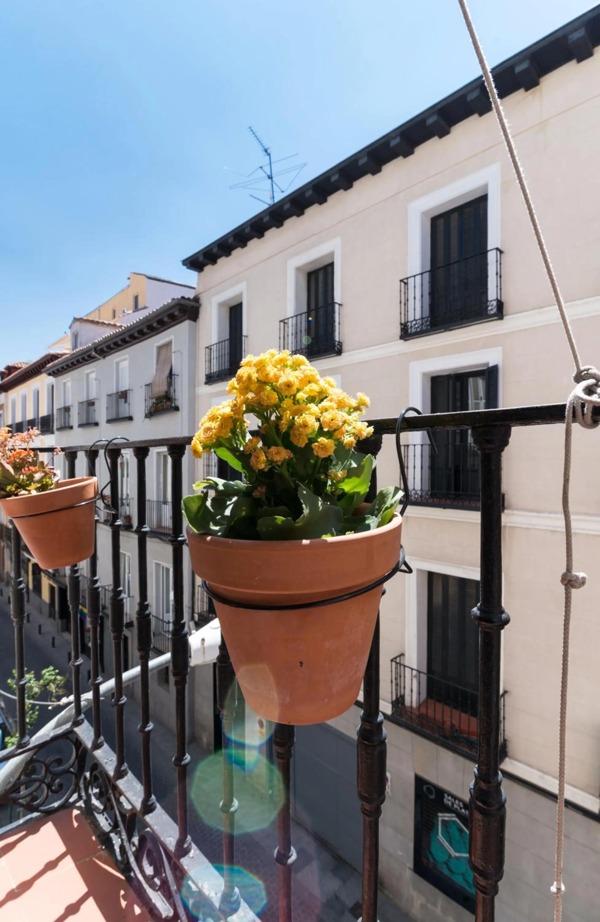 View (from property/room) in Cálamo Guesthouse