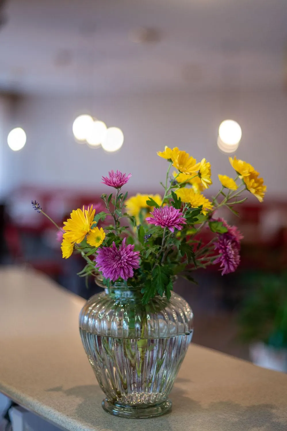 Property building in Hotel Alex Business & SPA