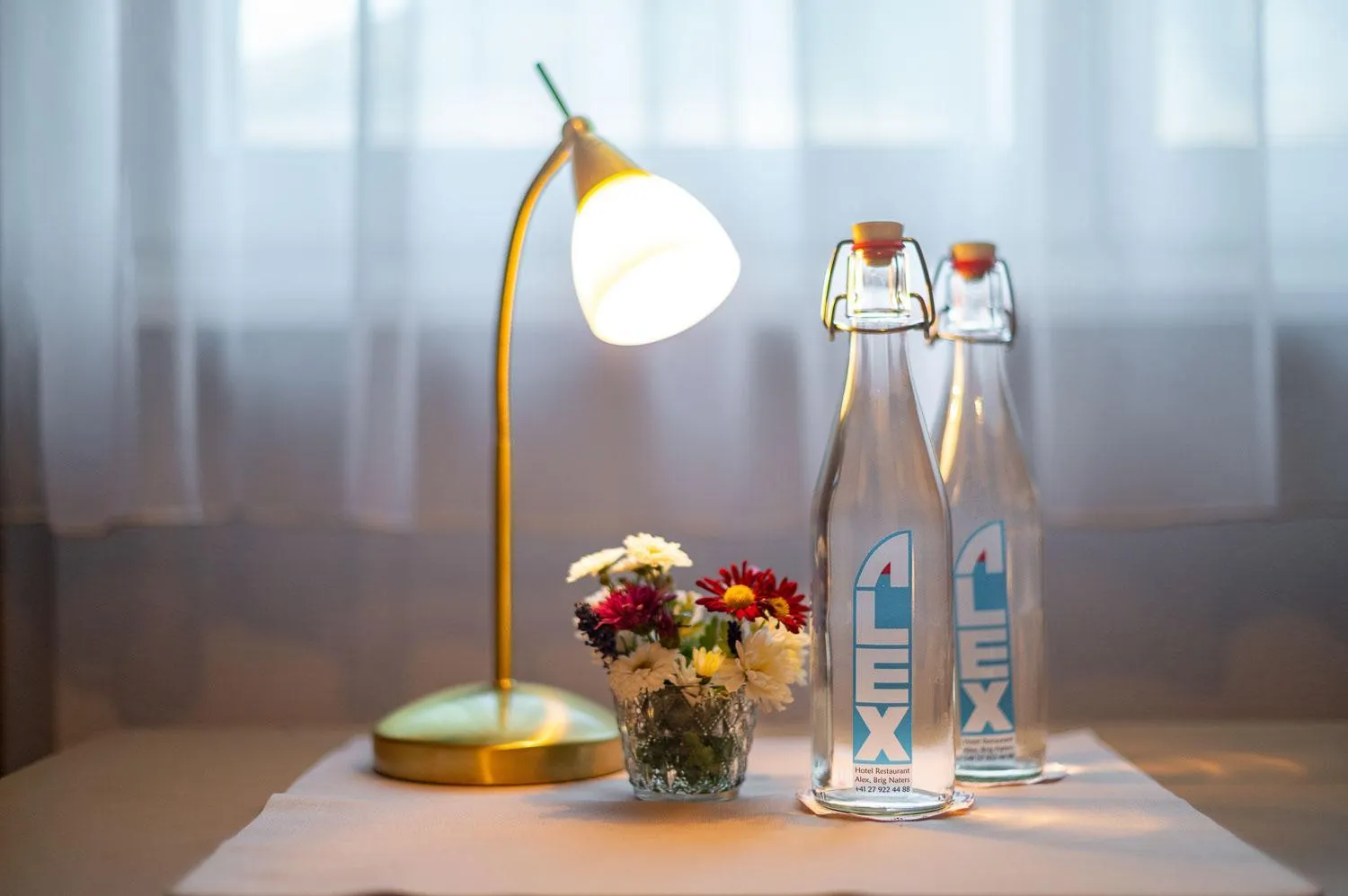 Area and facilities in Hotel Alex Business & SPA