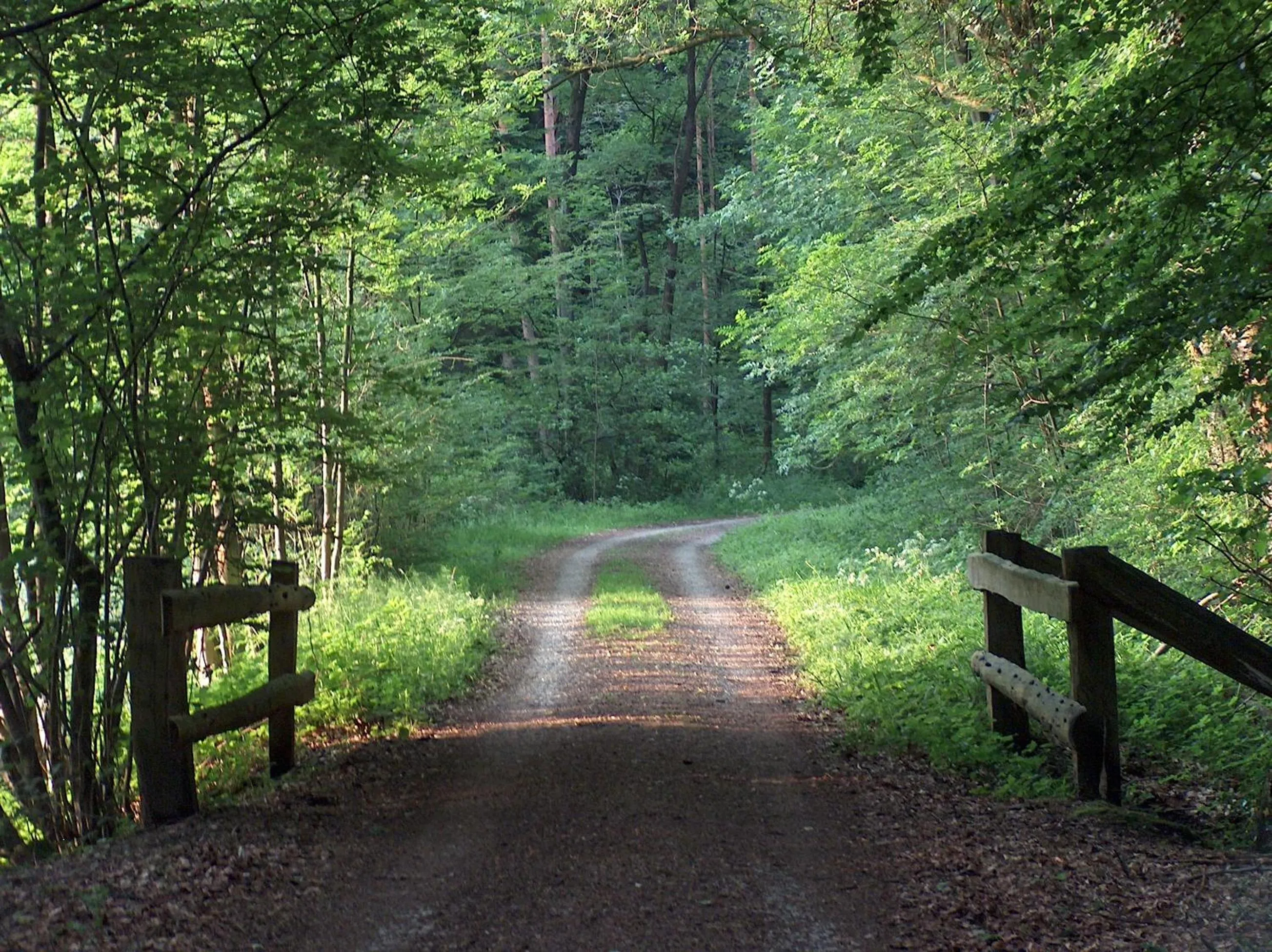 Natural landscape in Landhotel Ridder