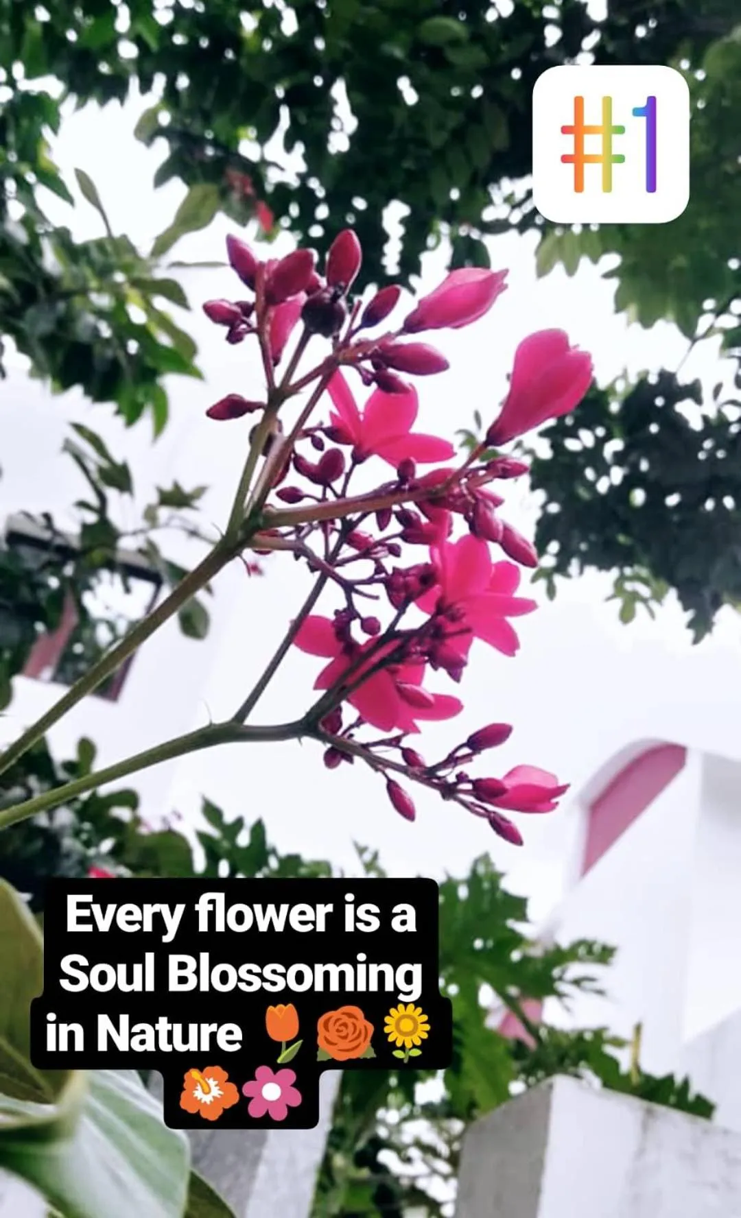 Property building in AGS HOLIDAY RESORTS