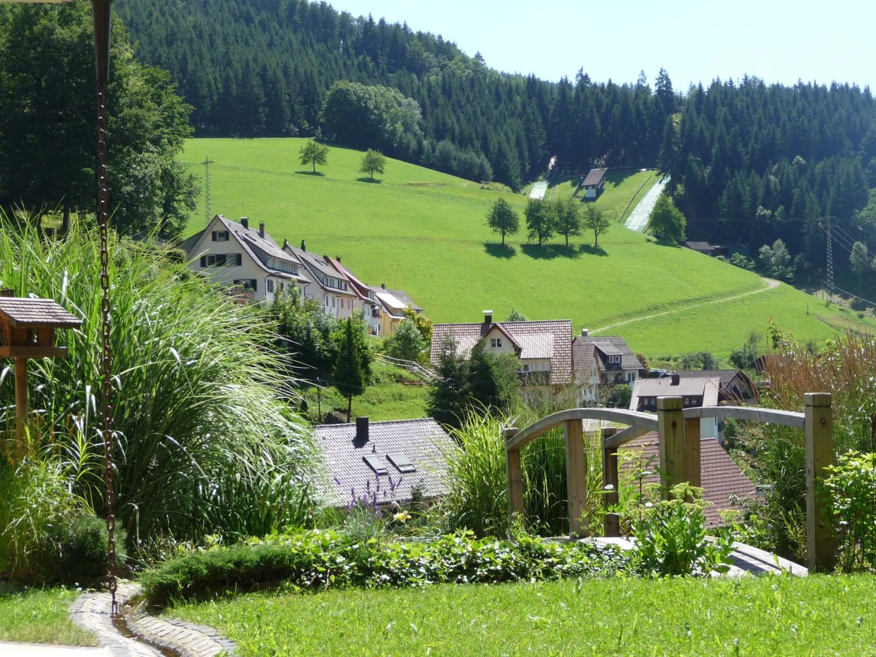 Natural landscape in Flair Hotel Adlerbad