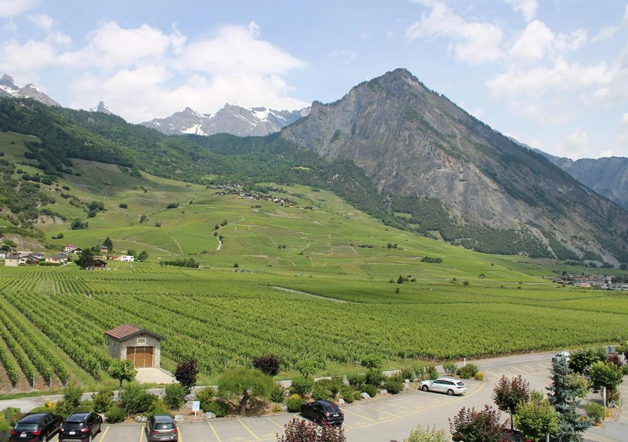 View (from property/room) in Hôtel des Bains de Saillon