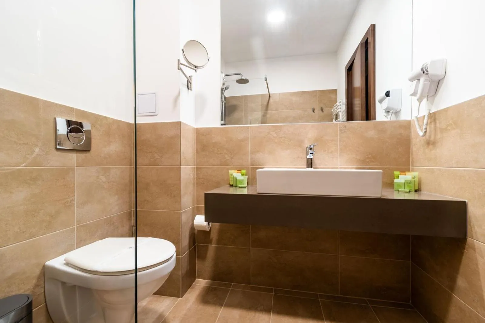 Toilet in Hotel IZVOARE Caciulata