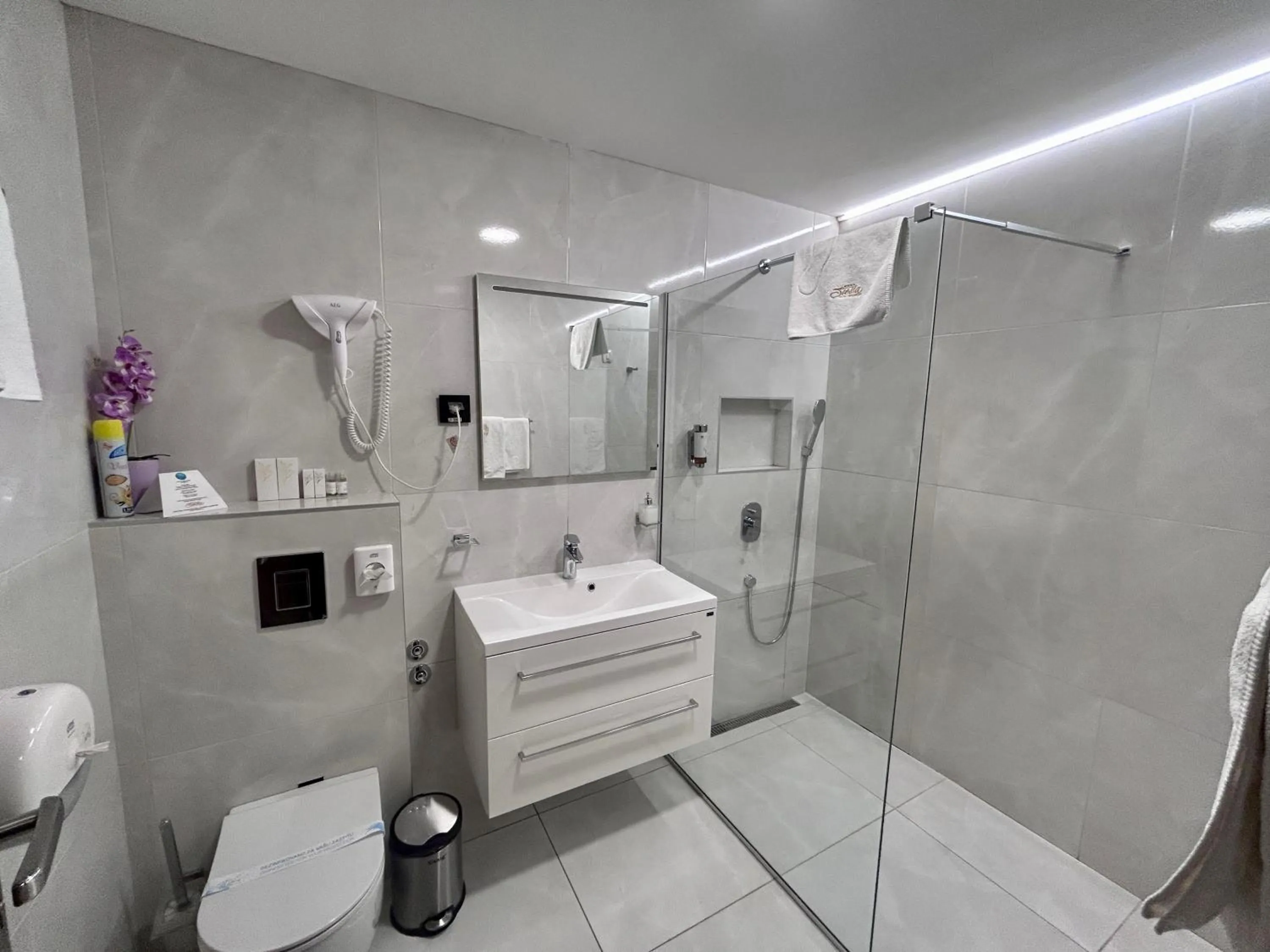 Shower in Hotel Siesta