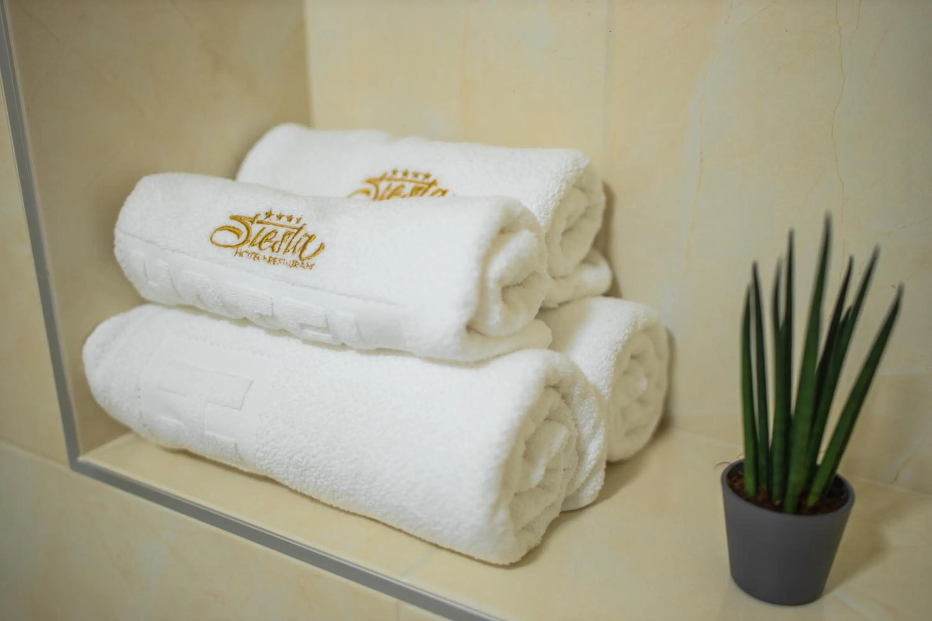 Toilet in Hotel Siesta