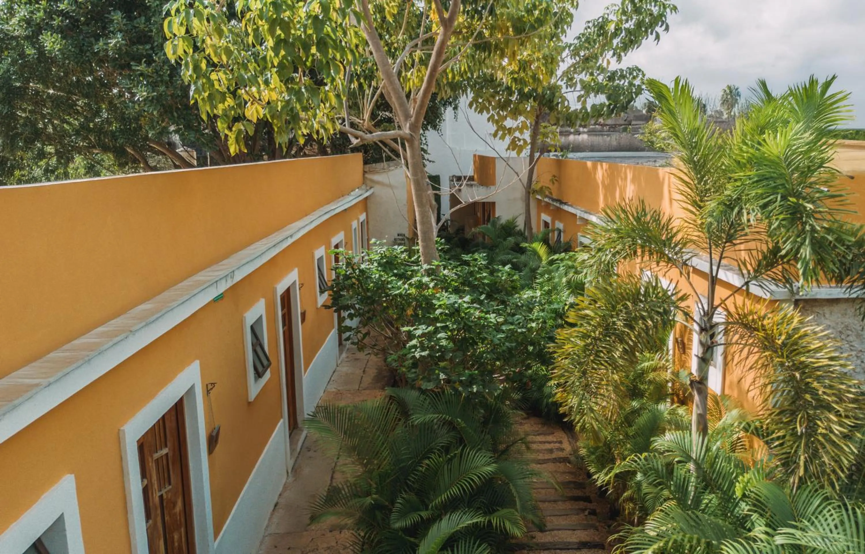 Garden in Hotel Unknown