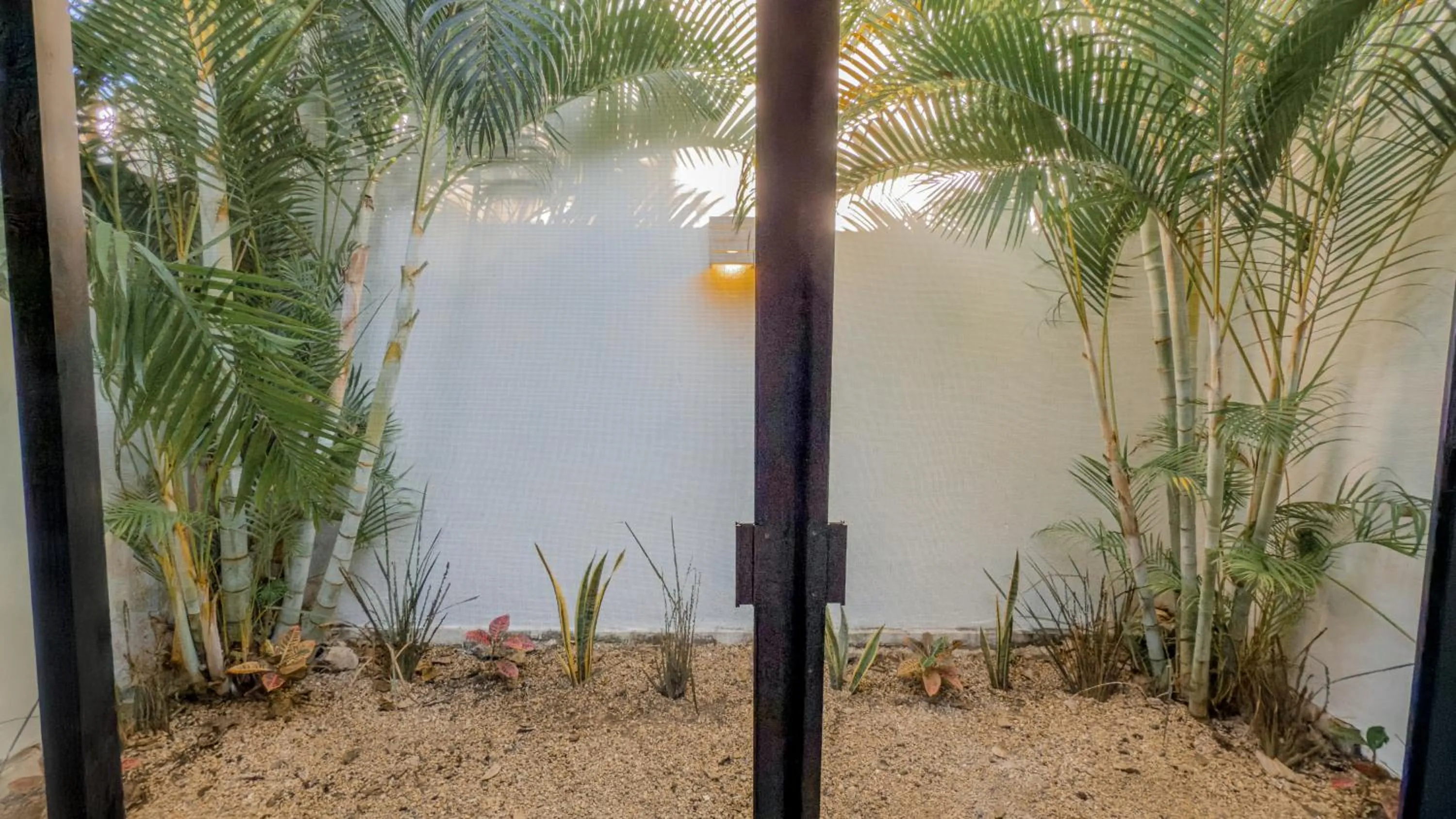 Garden in Hotel Unknown