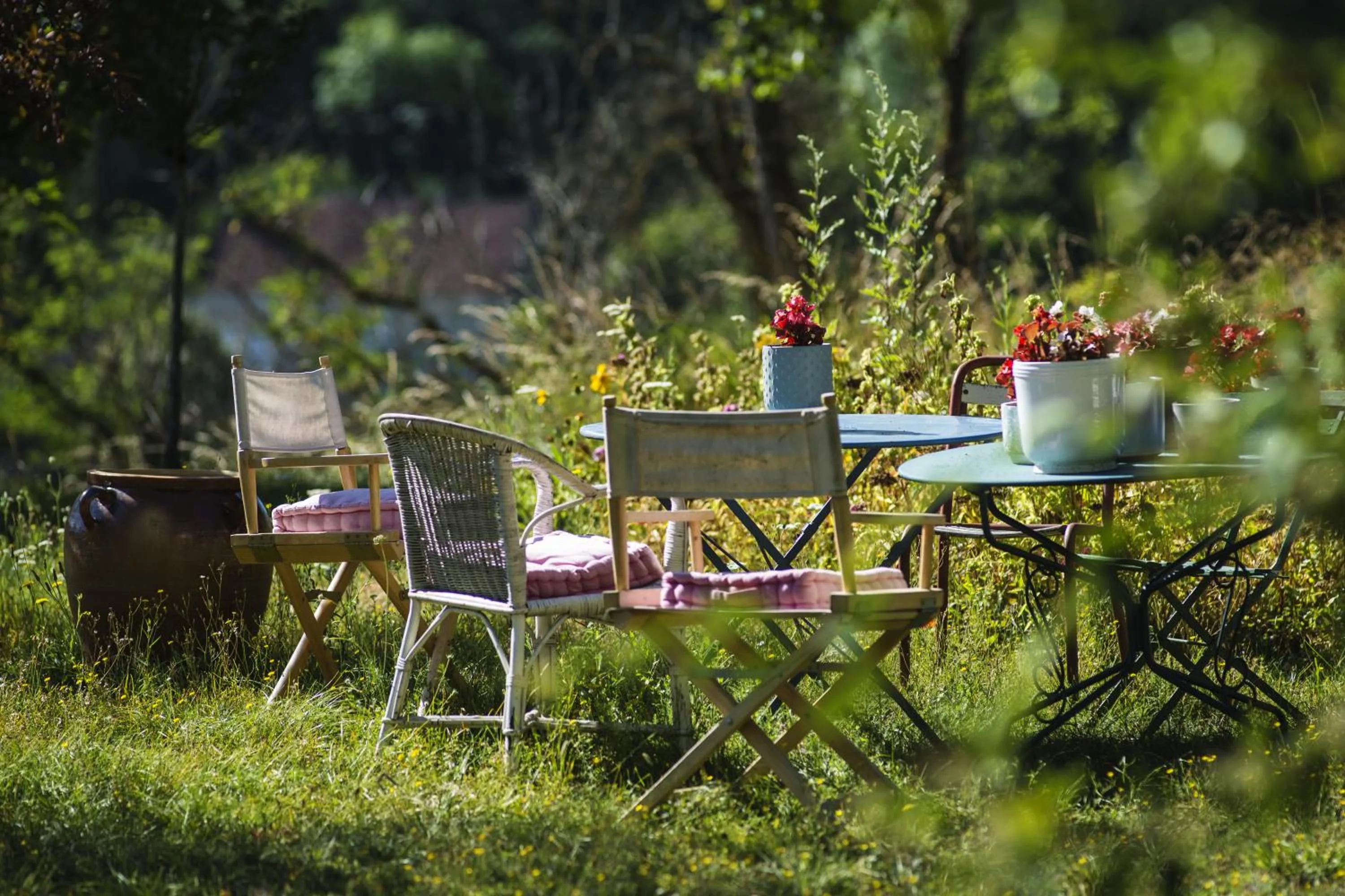 Garden in Le Domaine des Carriers