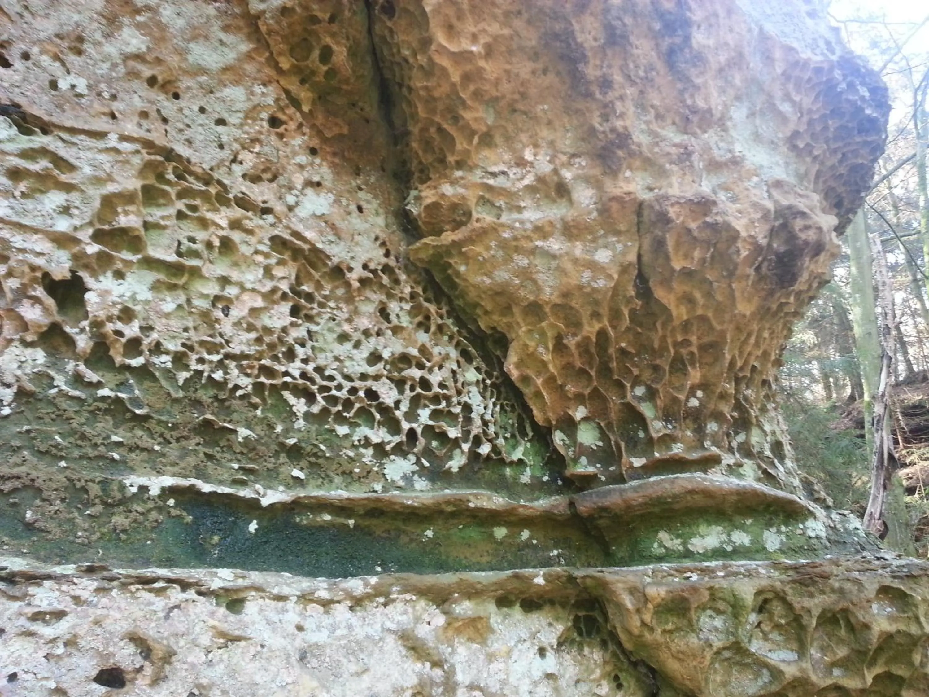 Hiking in Hotel Ritschlay