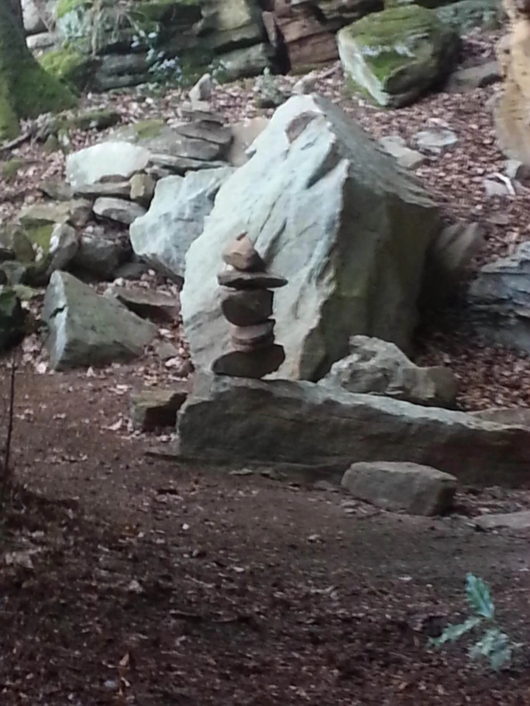 Hiking in Hotel Ritschlay