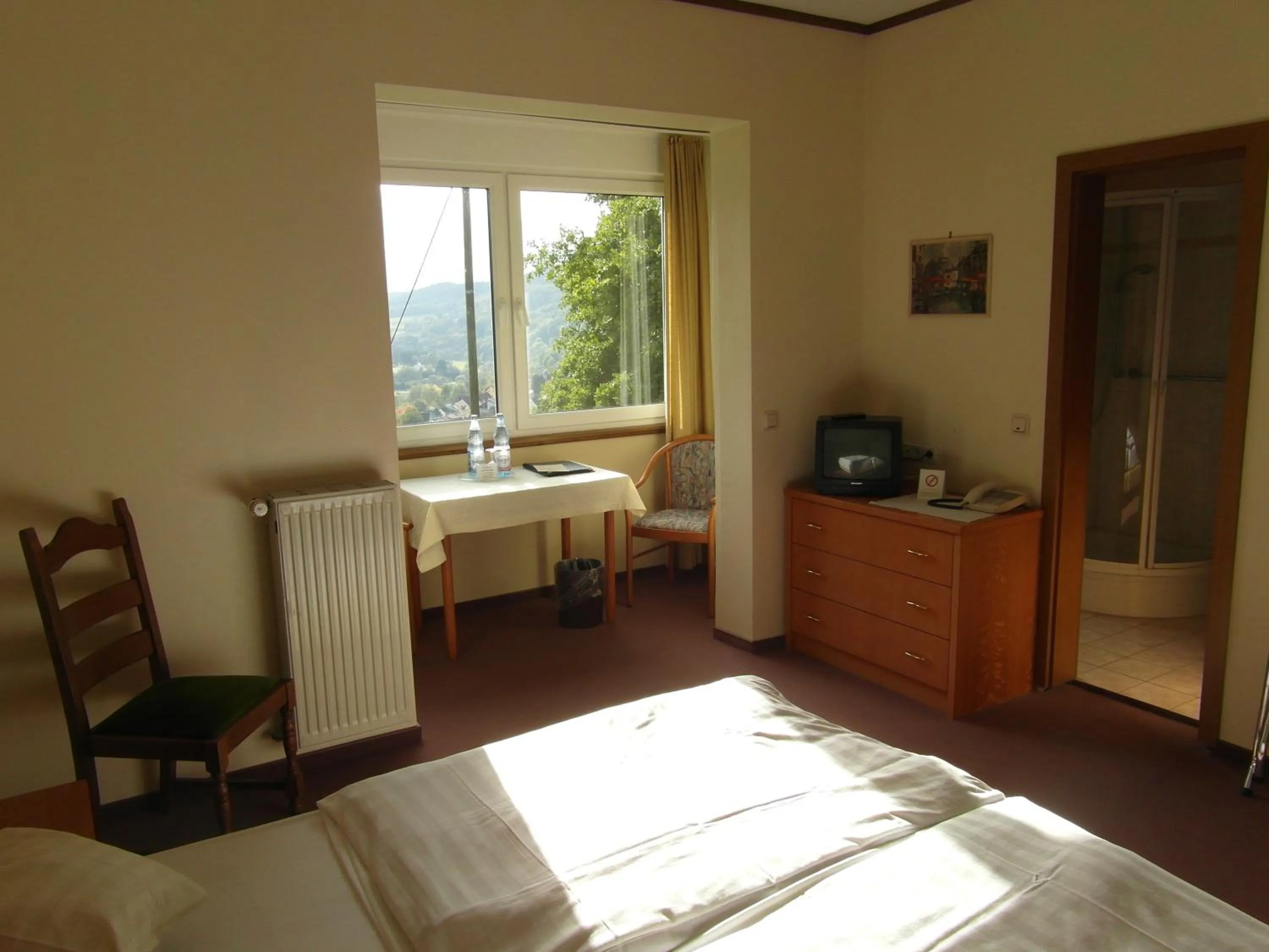 Photo of the whole room in Hotel Ritschlay