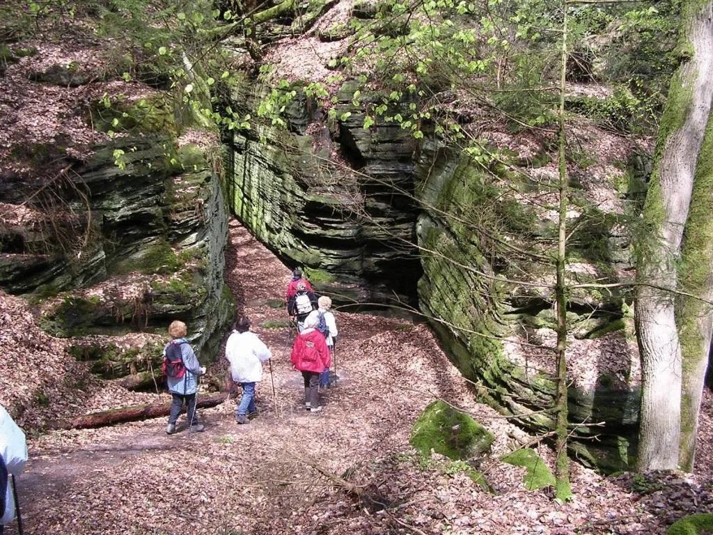 Natural landscape in Hotel Ritschlay