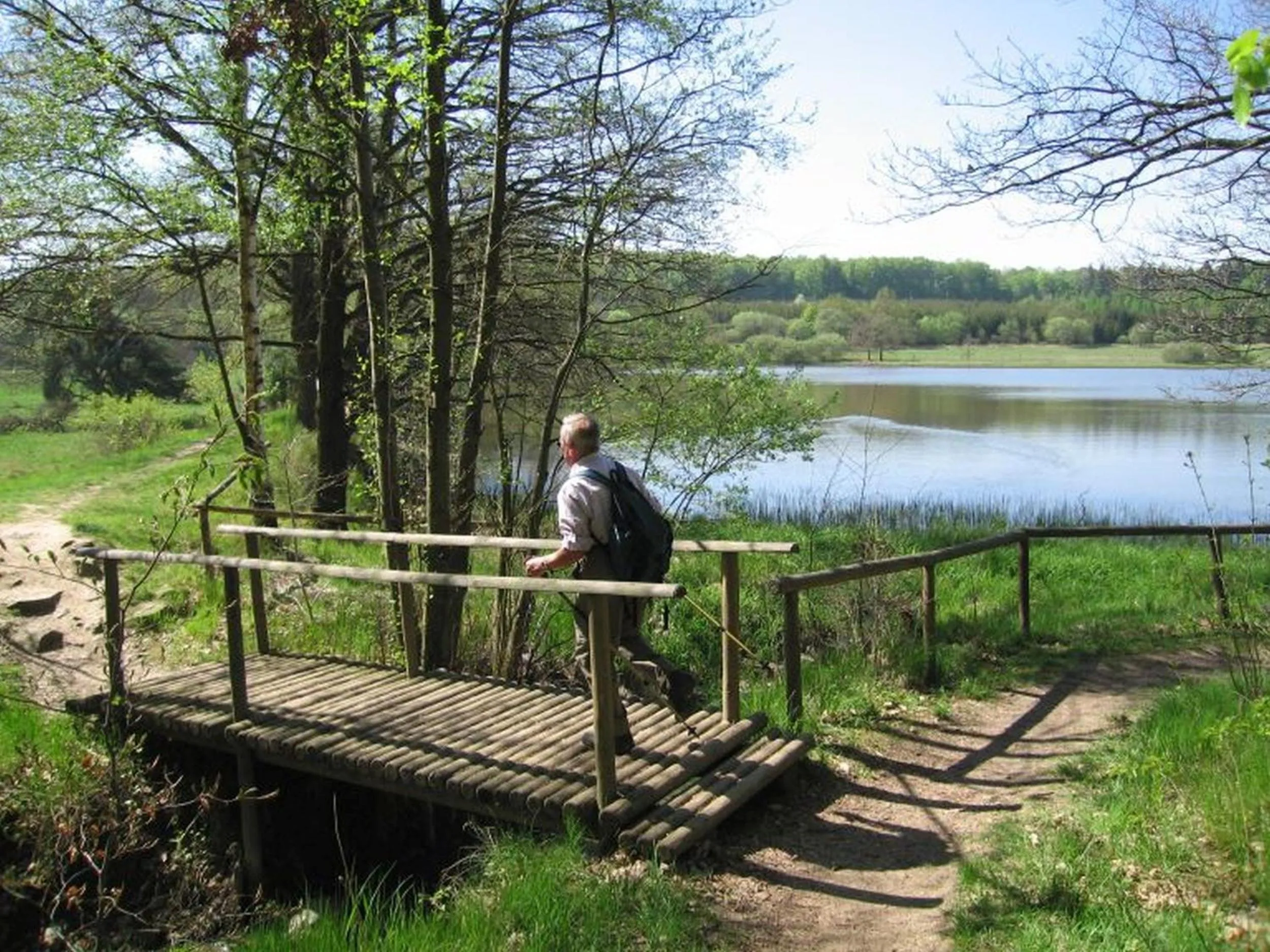 Natural landscape in Parkhotel Schotten
