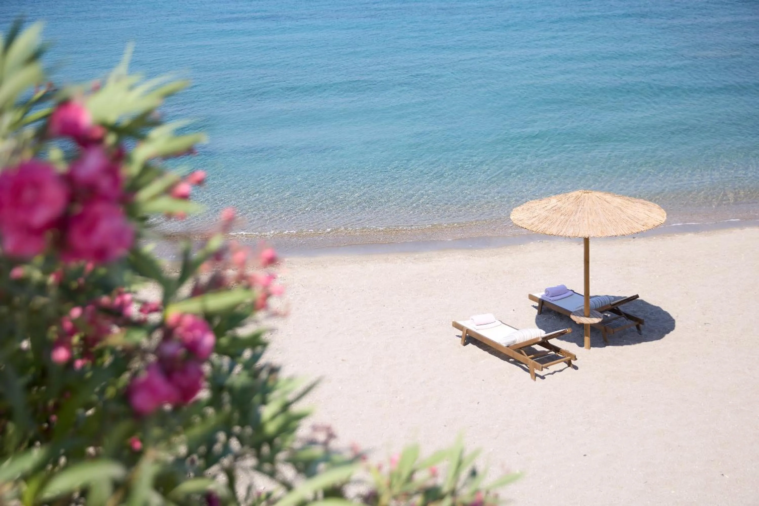 Beach in Elissa Lifestyle Beach Resort - Adults Only