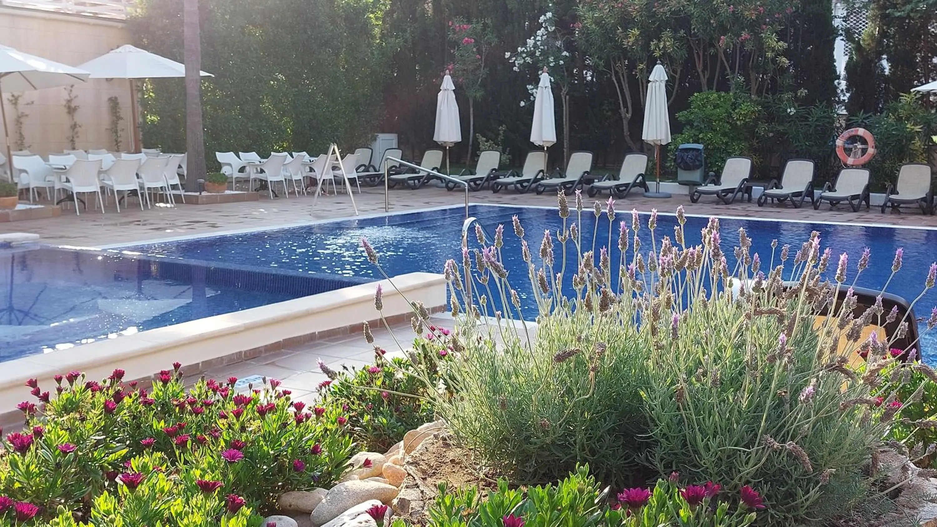 Garden in ROC Oberoy - Adults Only