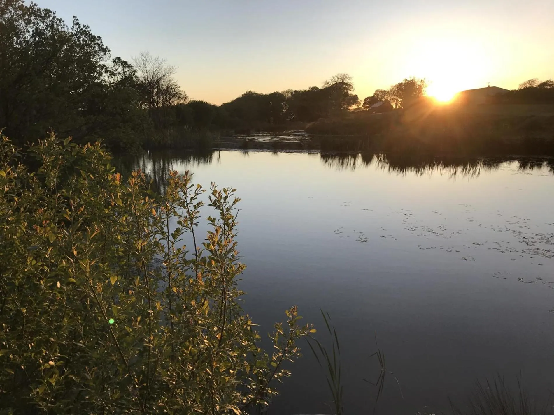 Floor plan in Foxglove - Luxurious Barn Conversion - Blossom Farm