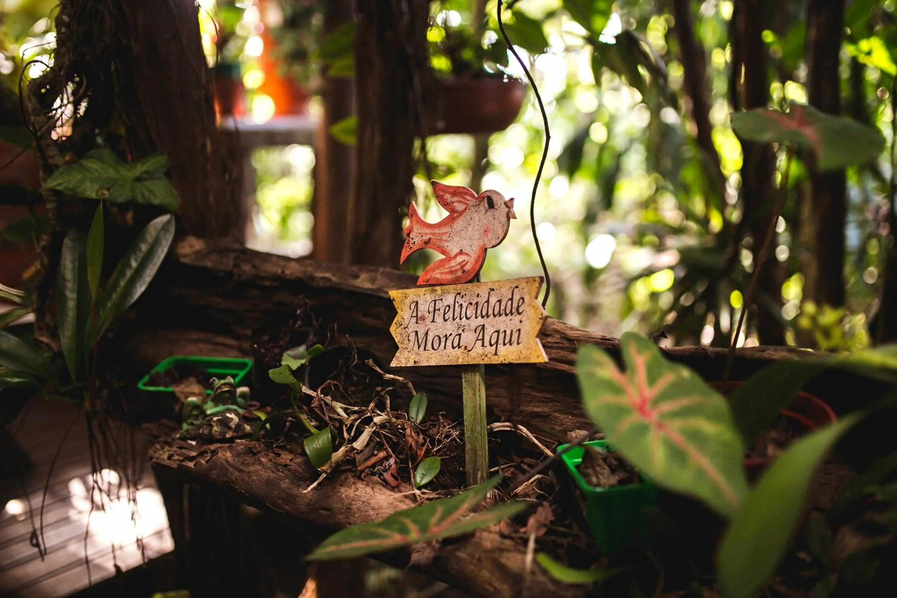 Hotel Pousada Praia do Farol