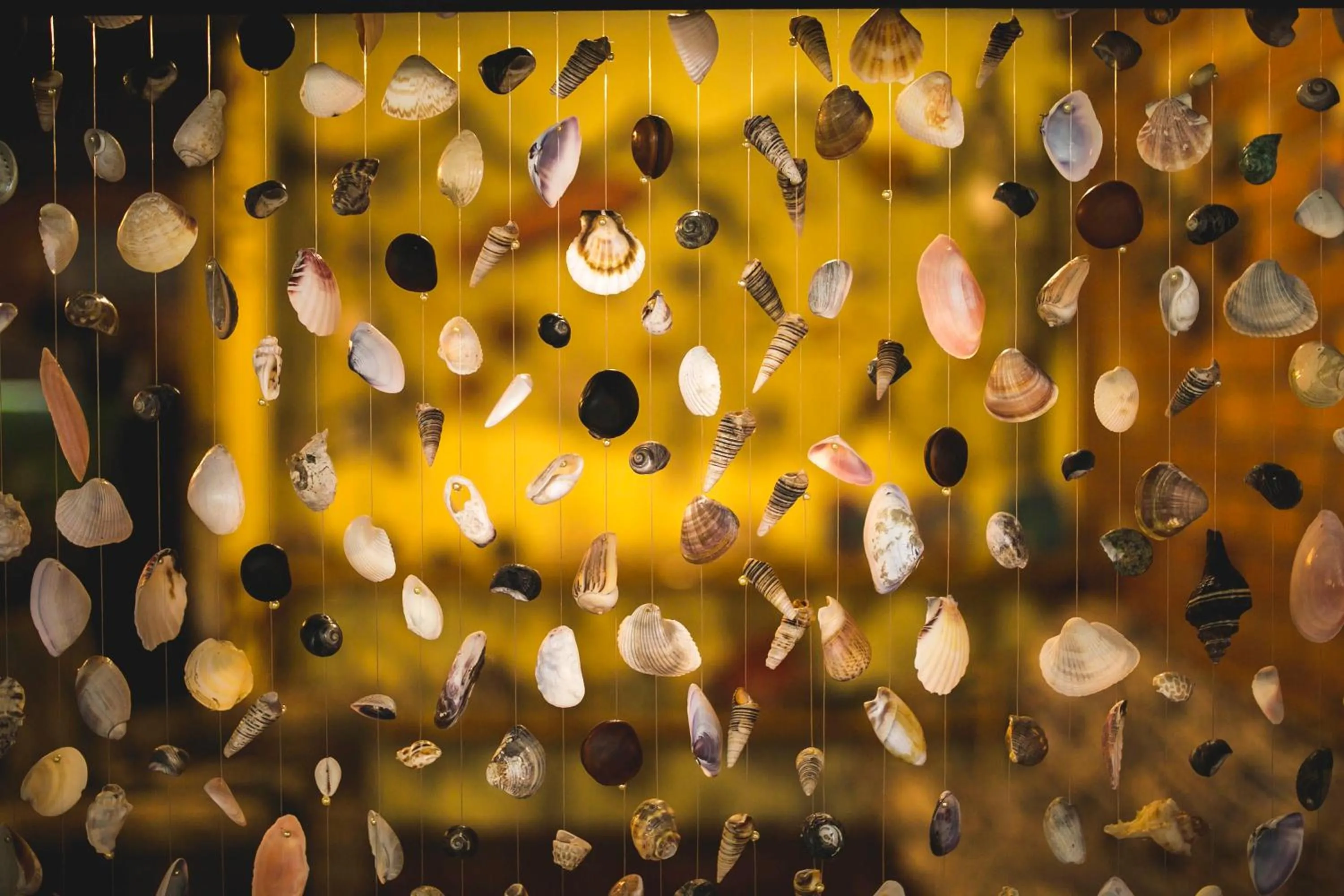 Hotel Pousada Praia do Farol