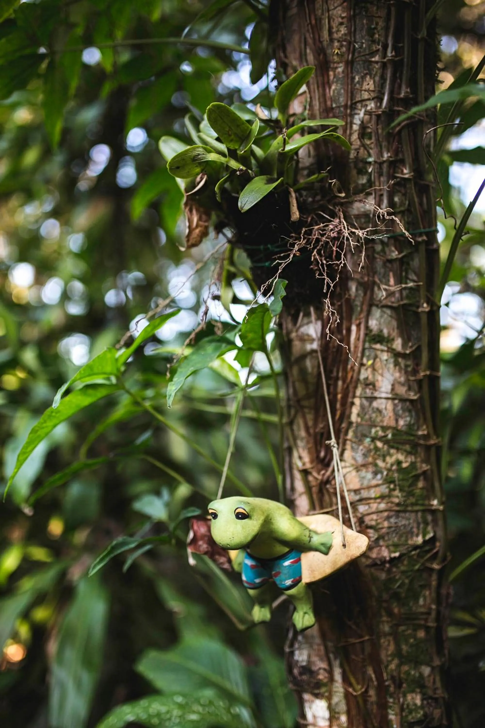 Hotel Pousada Praia do Farol