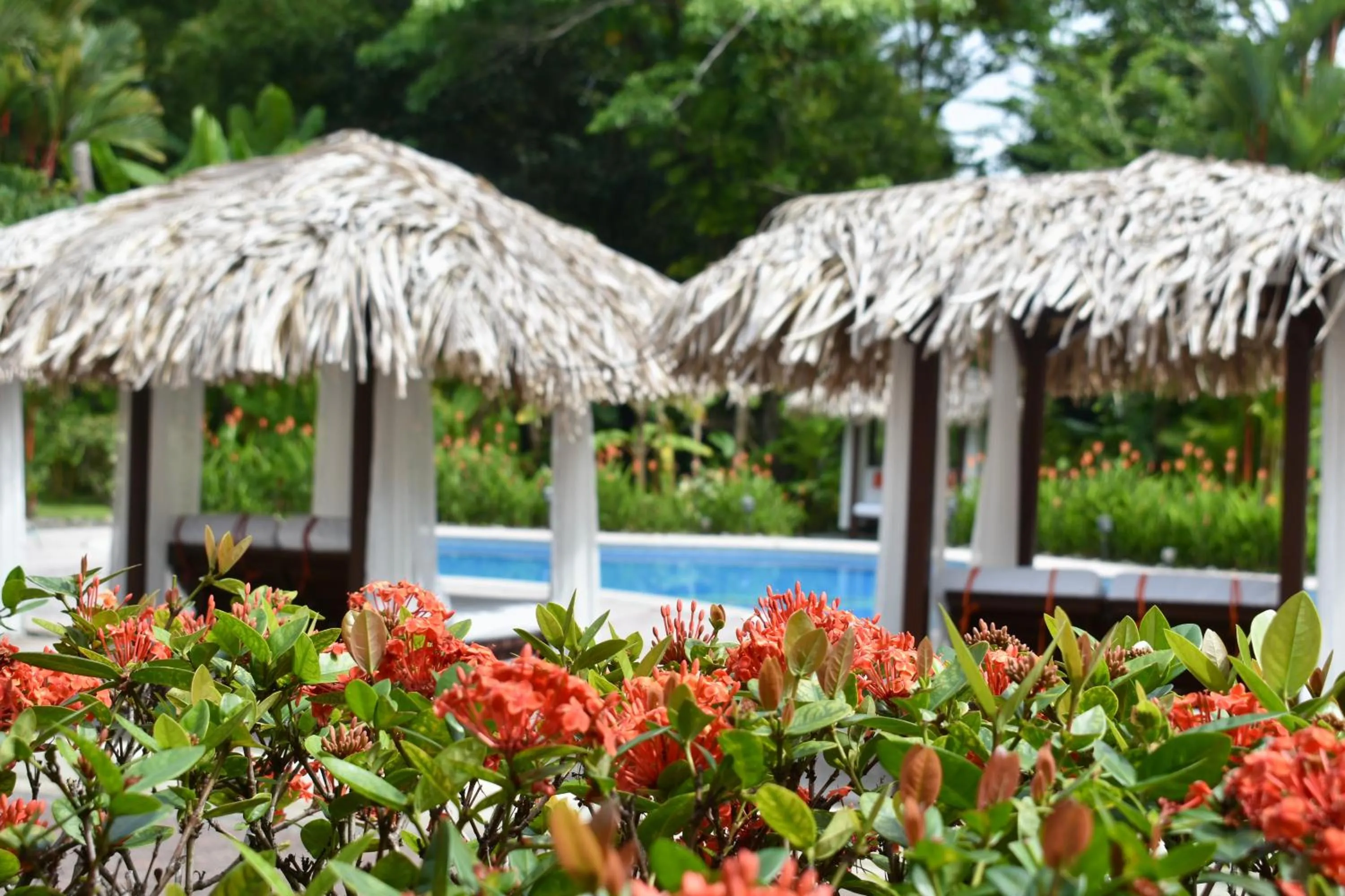 Swimming pool in Hotel Playa Espadilla & Gardens