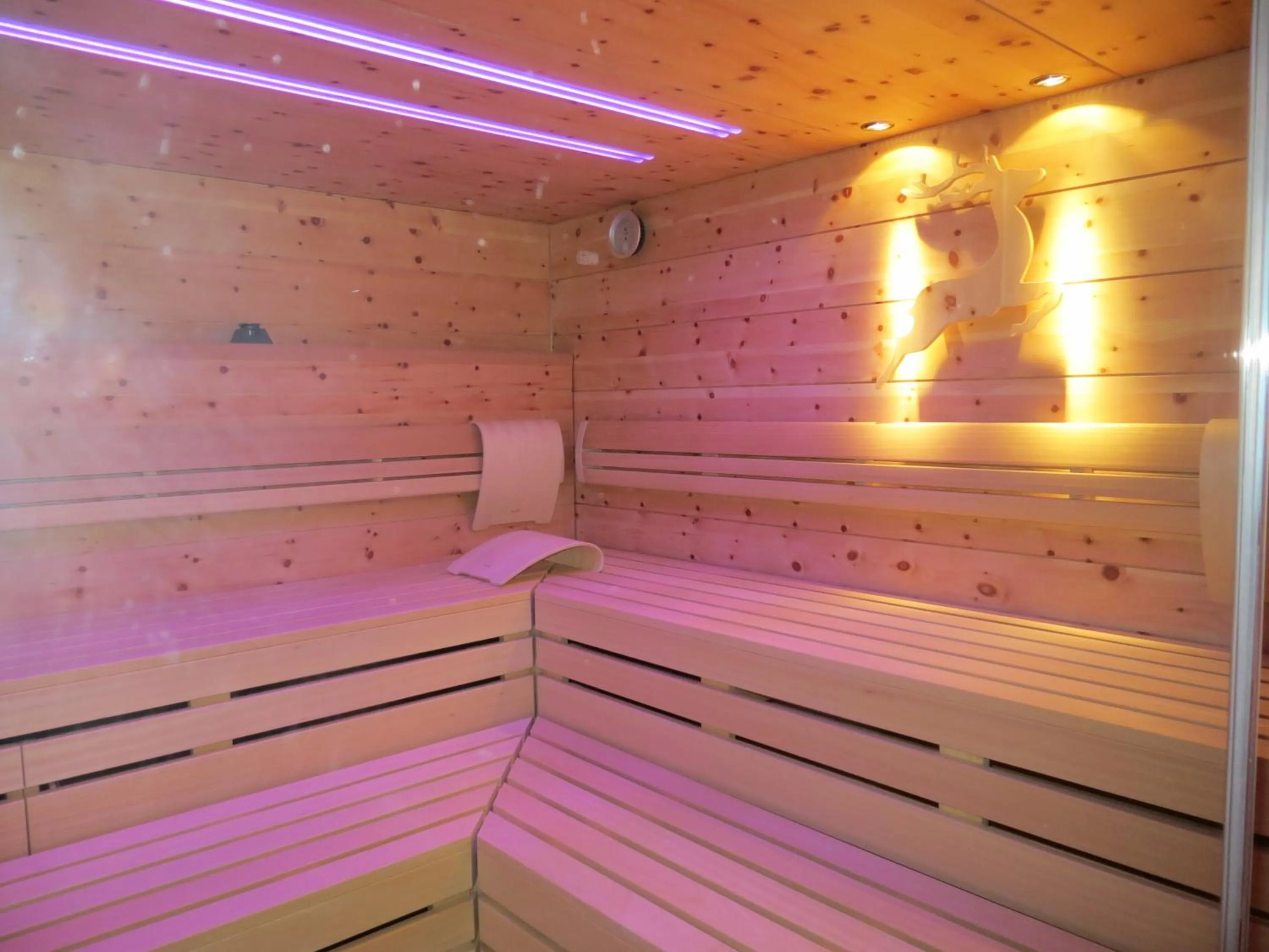 Spa and wellness centre/facilities in Hotel Hirschen