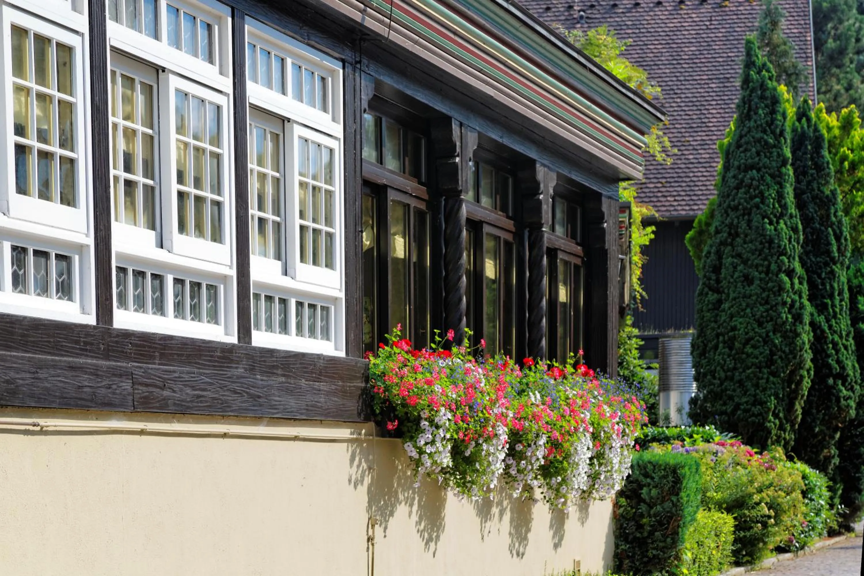 Property building in Hotel Hirschen