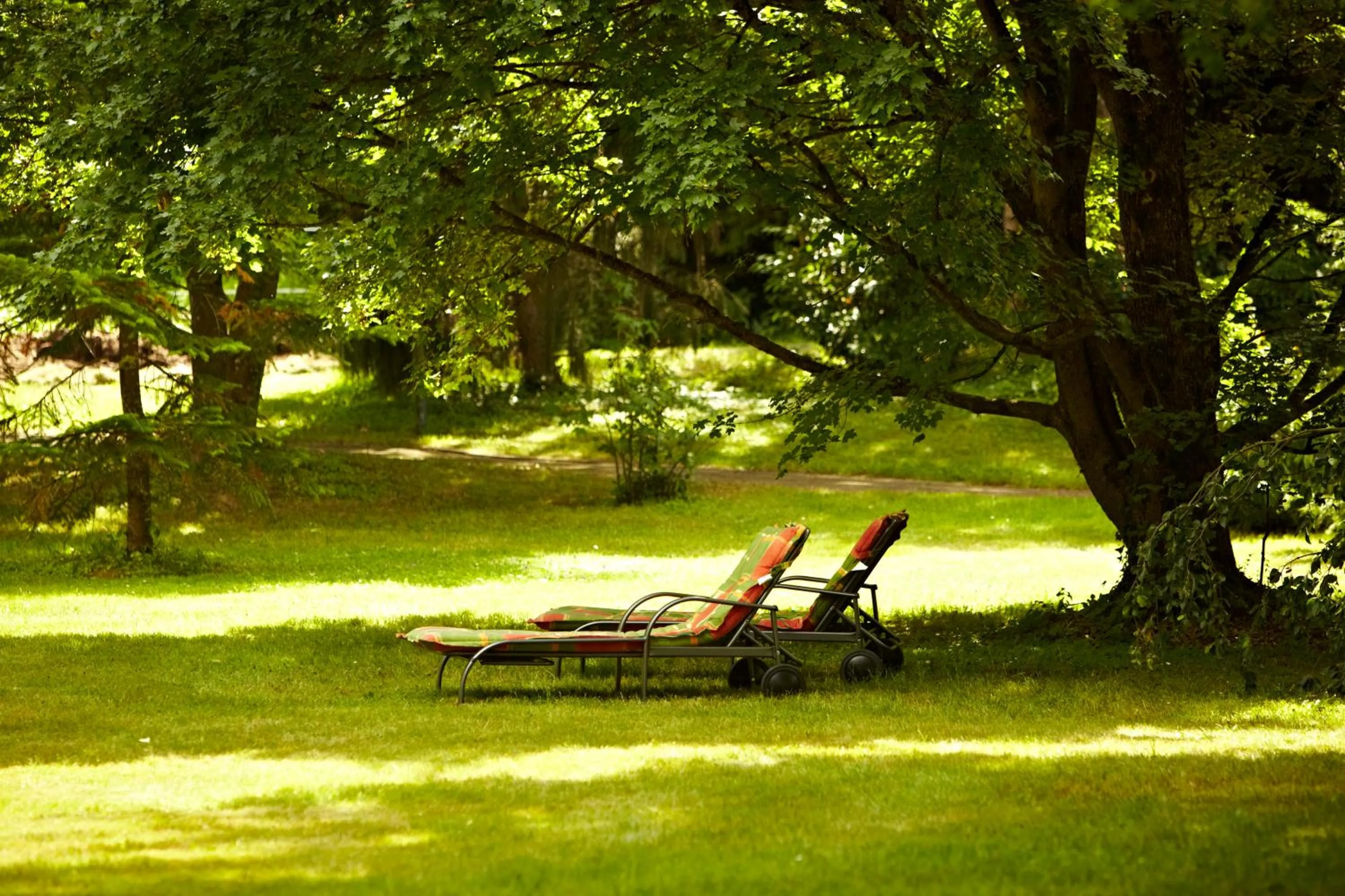Garden in Hotel Hirschen