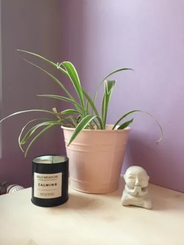 Decorative detail in La Belle Etoile