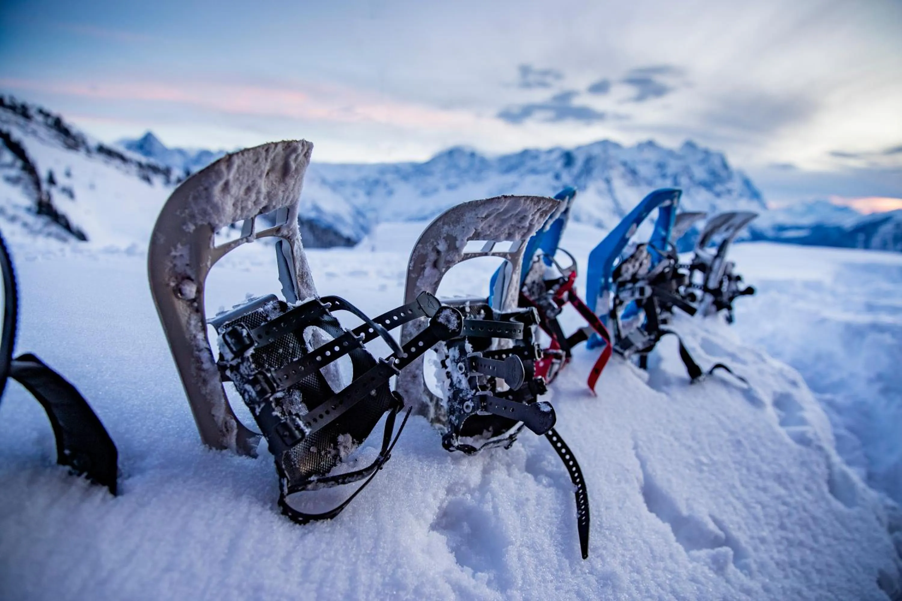 Parkhotel du Sauvage