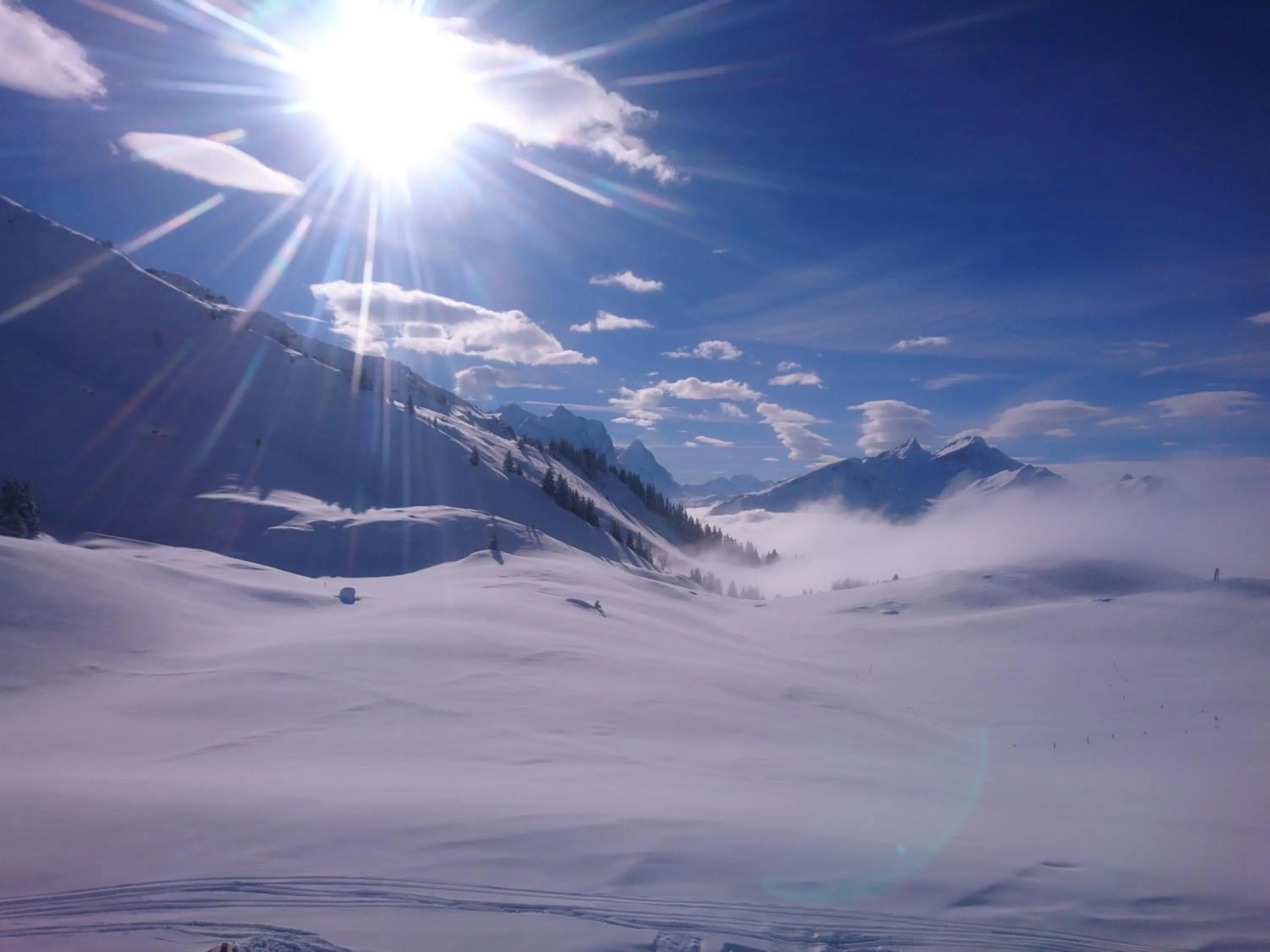 Parkhotel du Sauvage