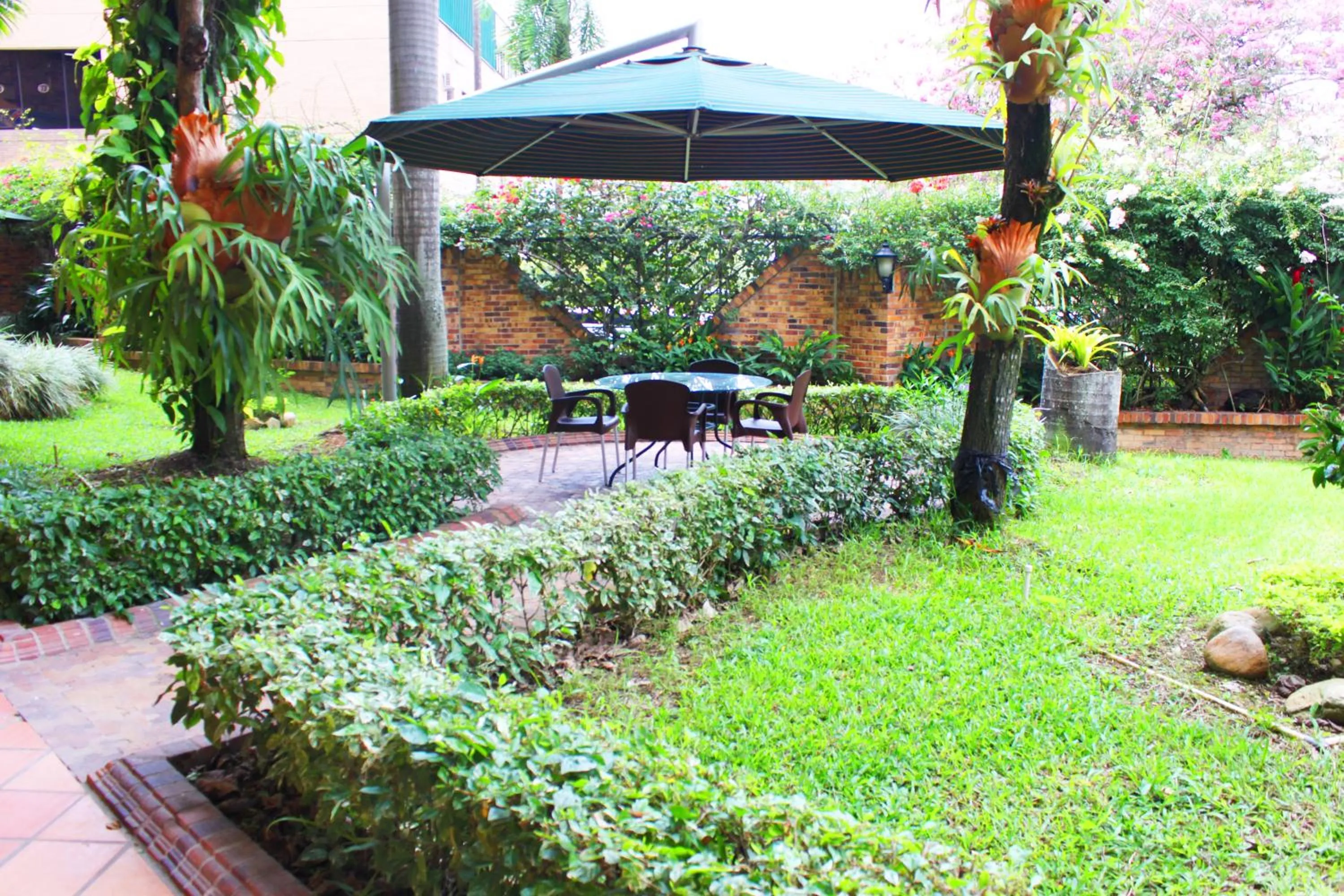 Area and facilities in Hotel Palmera Real