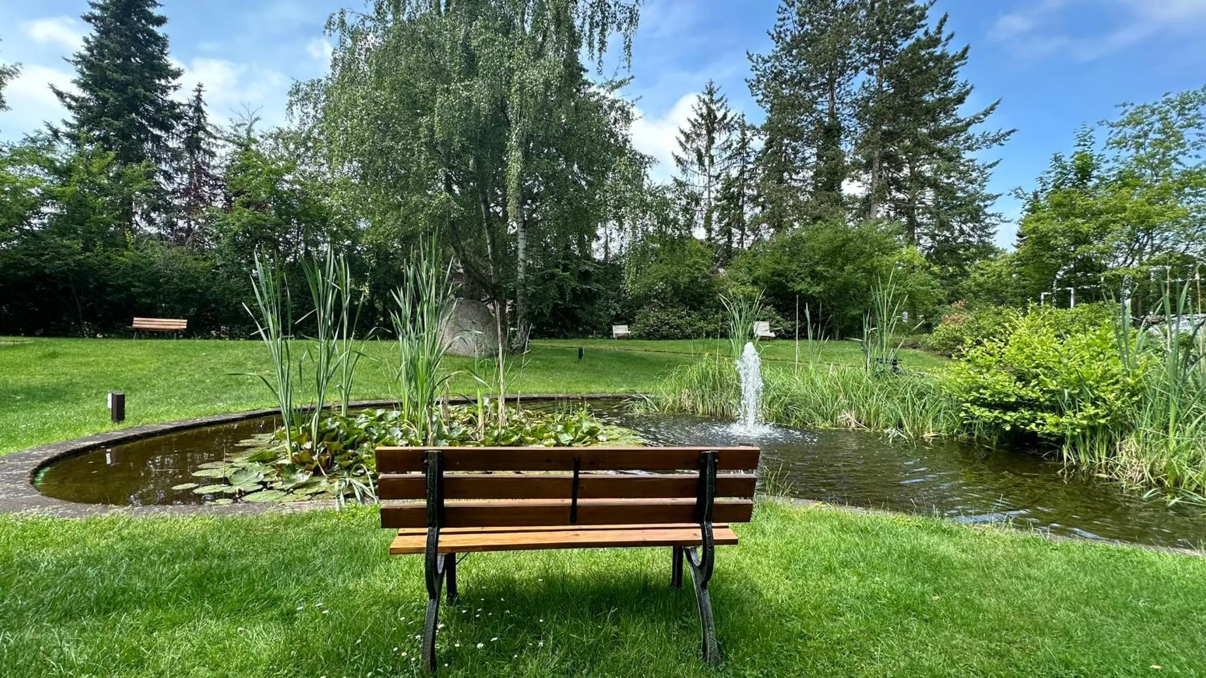 Garden view in VitalHotel Ascona