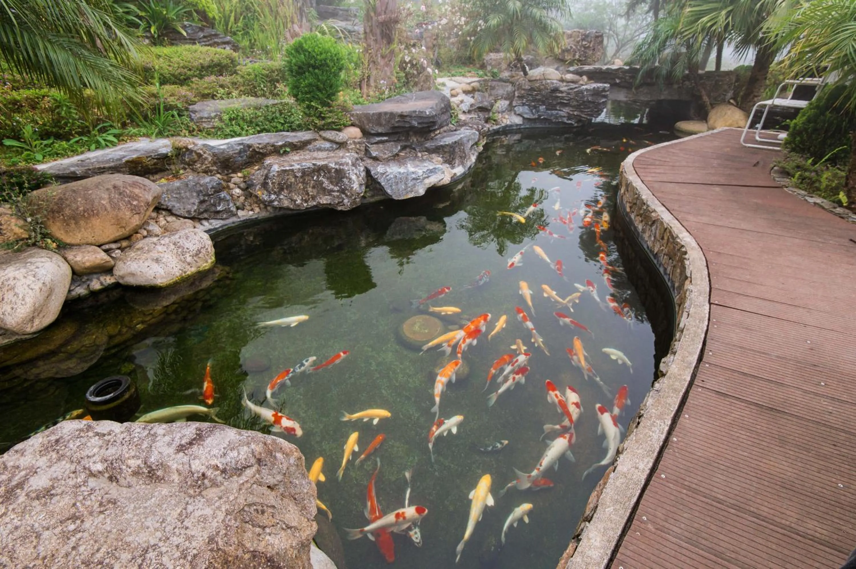 Sapa Catcat Hills Resort & Spa