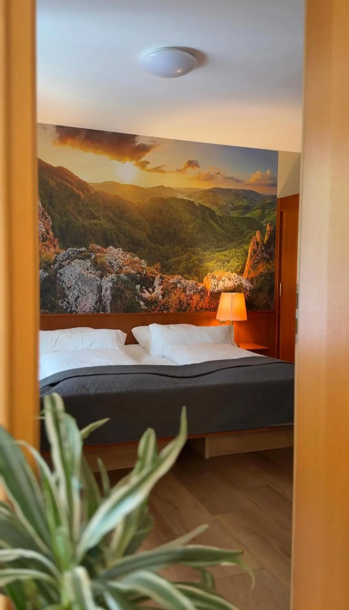 Bed in Park Appartements