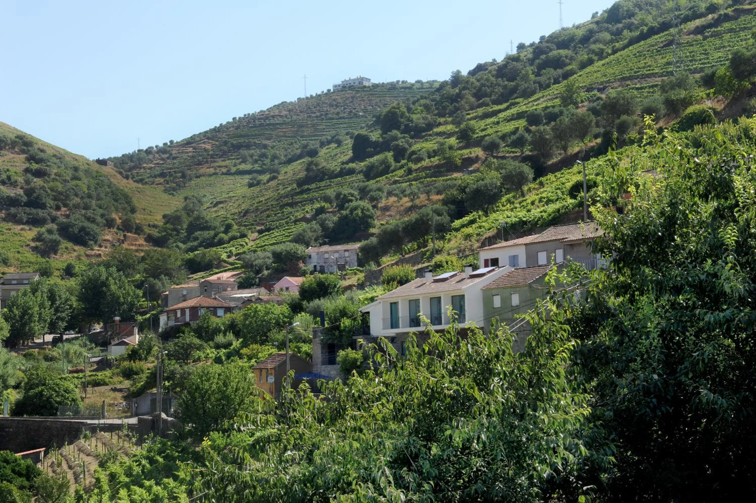 Facade/entrance in DouroXisto
