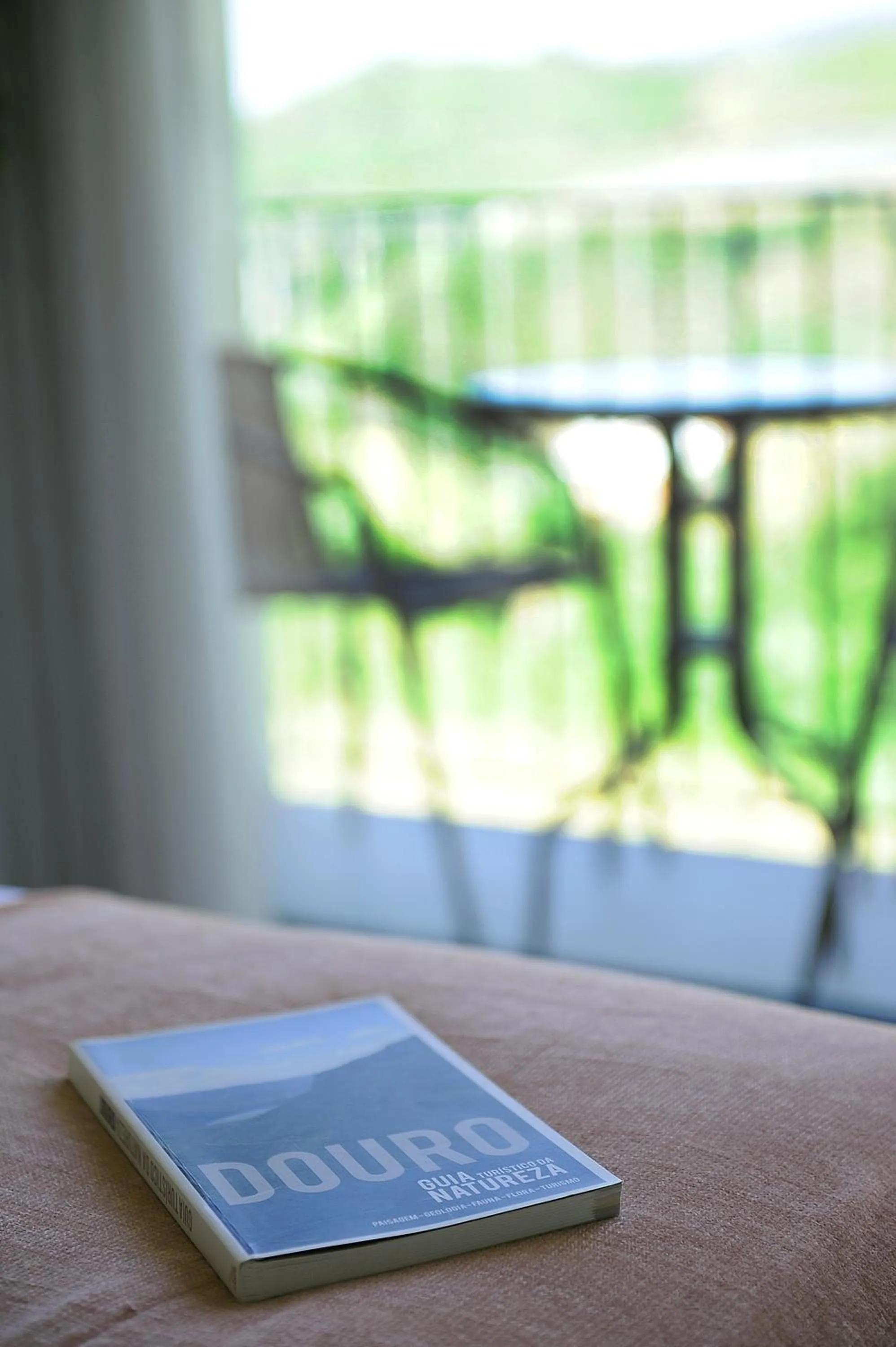 Decorative detail in DouroXisto