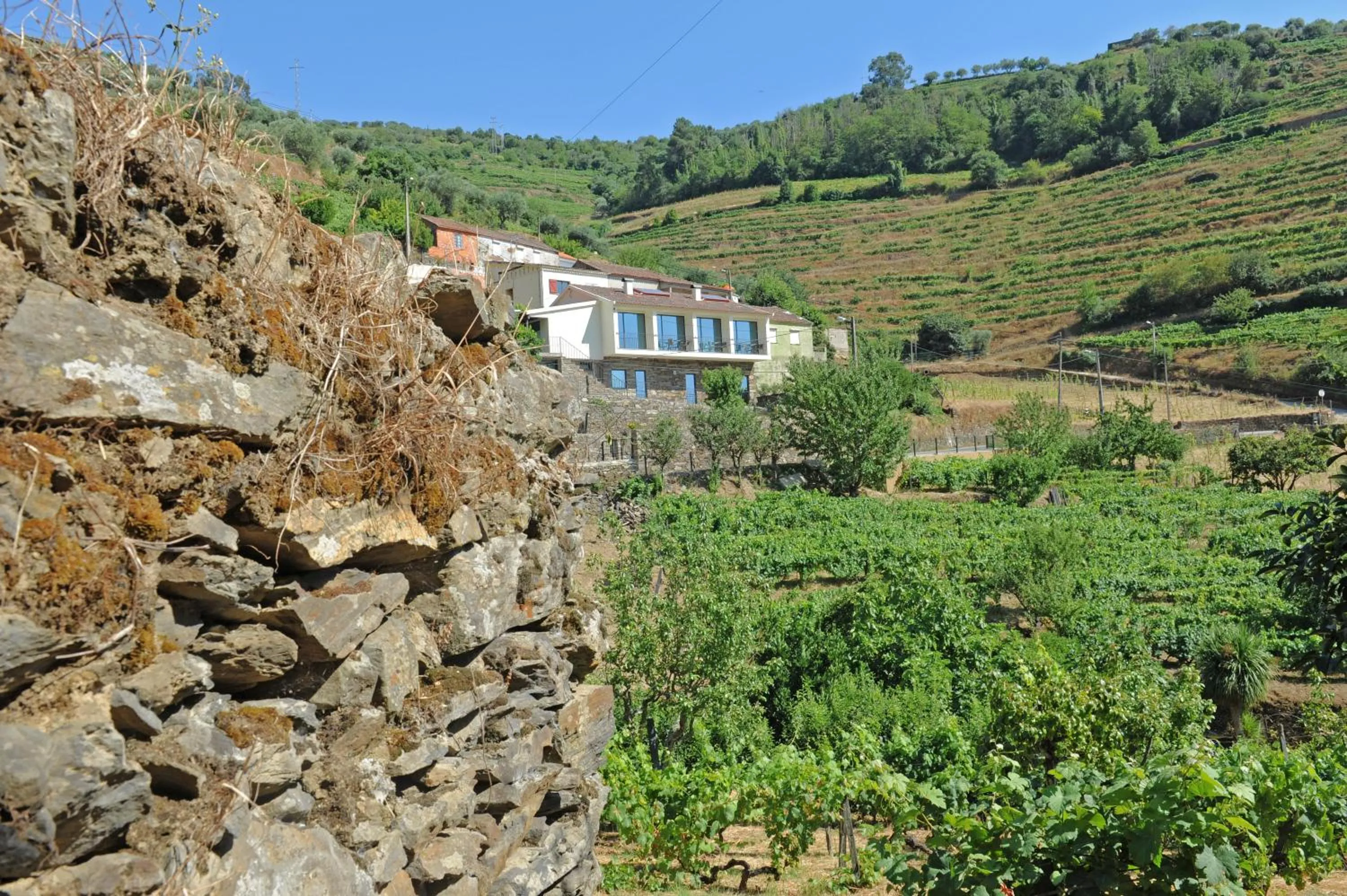 Facade/entrance in DouroXisto