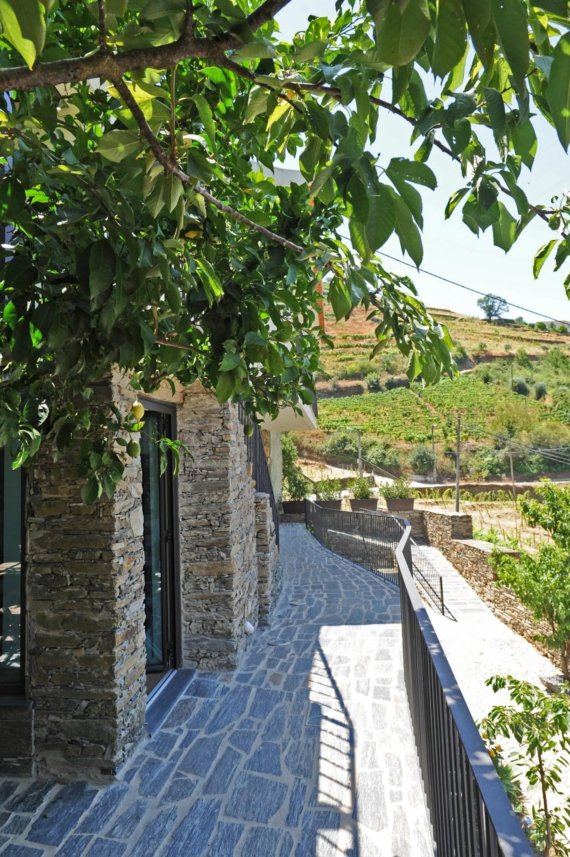 Facade/entrance in DouroXisto