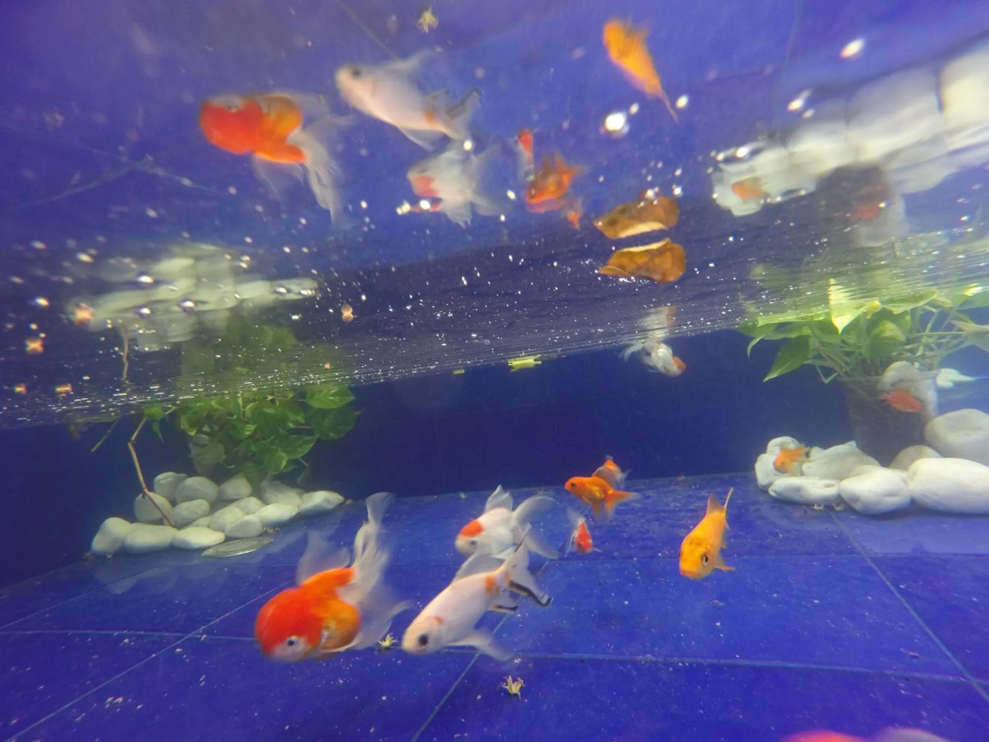 Hotel Posada Pablo de Tarso