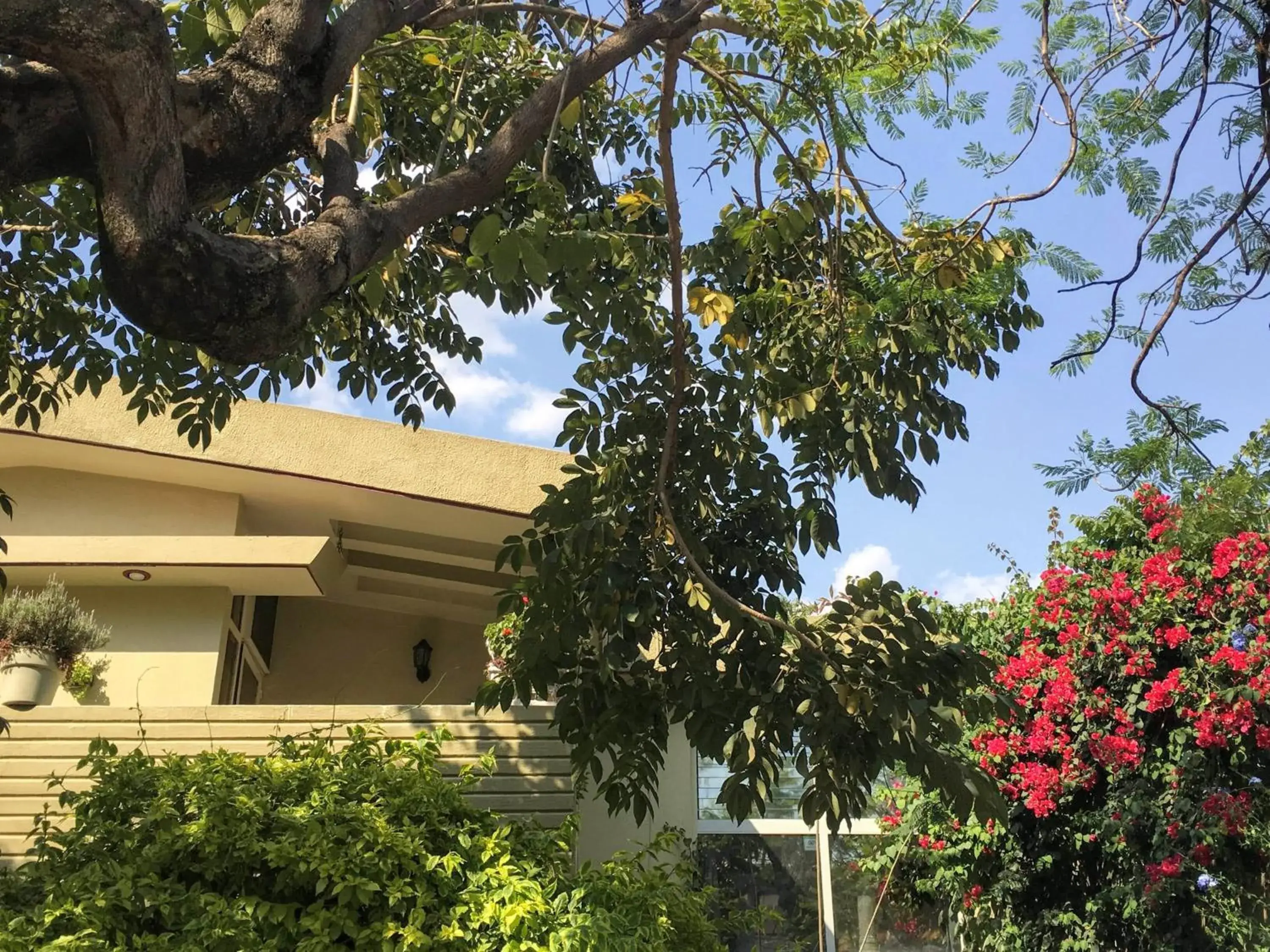 Four-Bedroom House in Dickinson Guest House, Guadalajara Expo Four-Bedroom House in Dickinson Guest House, Guadalajara Expo