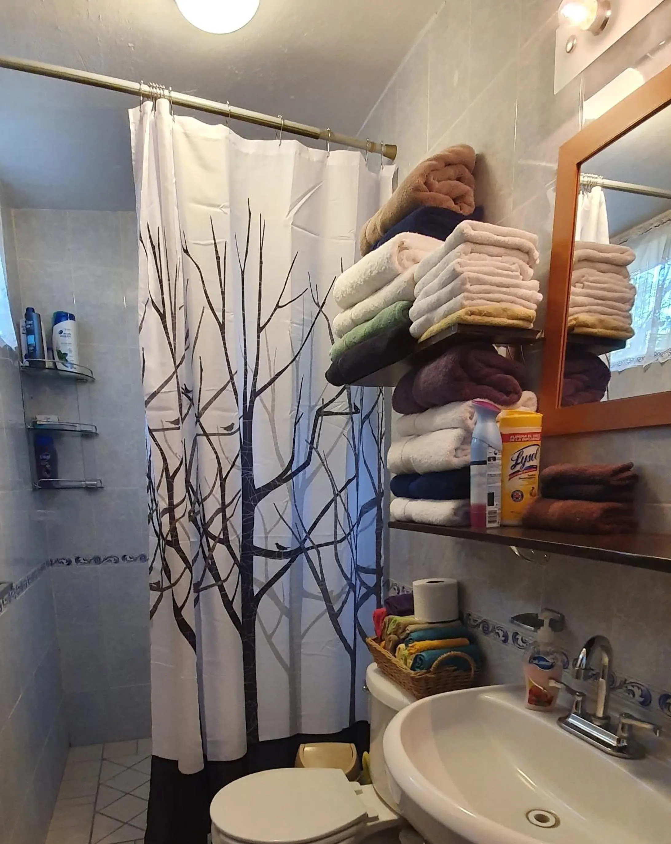 Inner courtyard view in Dickinson Guest House, Guadalajara Expo