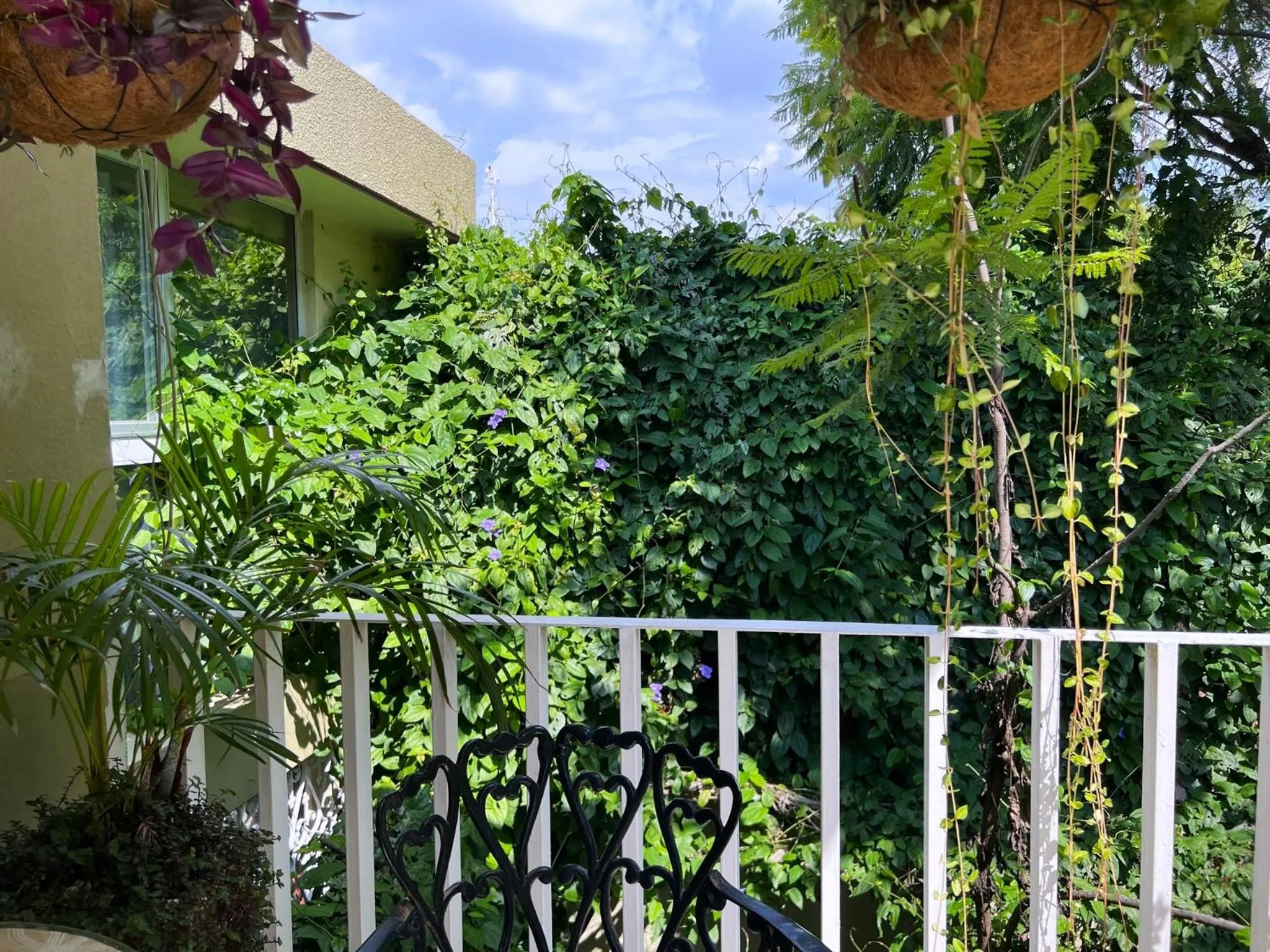 Spring in Dickinson Guest House, Guadalajara Expo