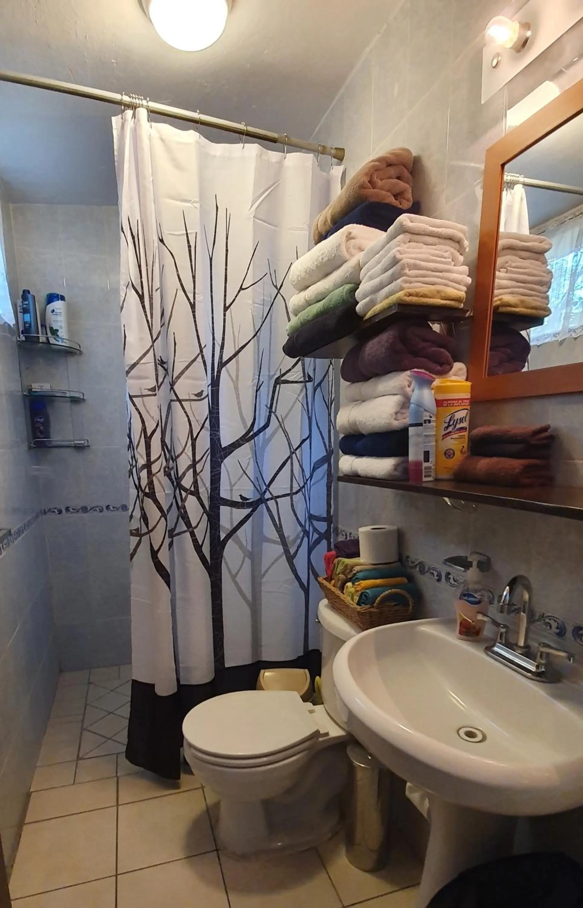 Shower in Dickinson Guest House, Guadalajara Expo